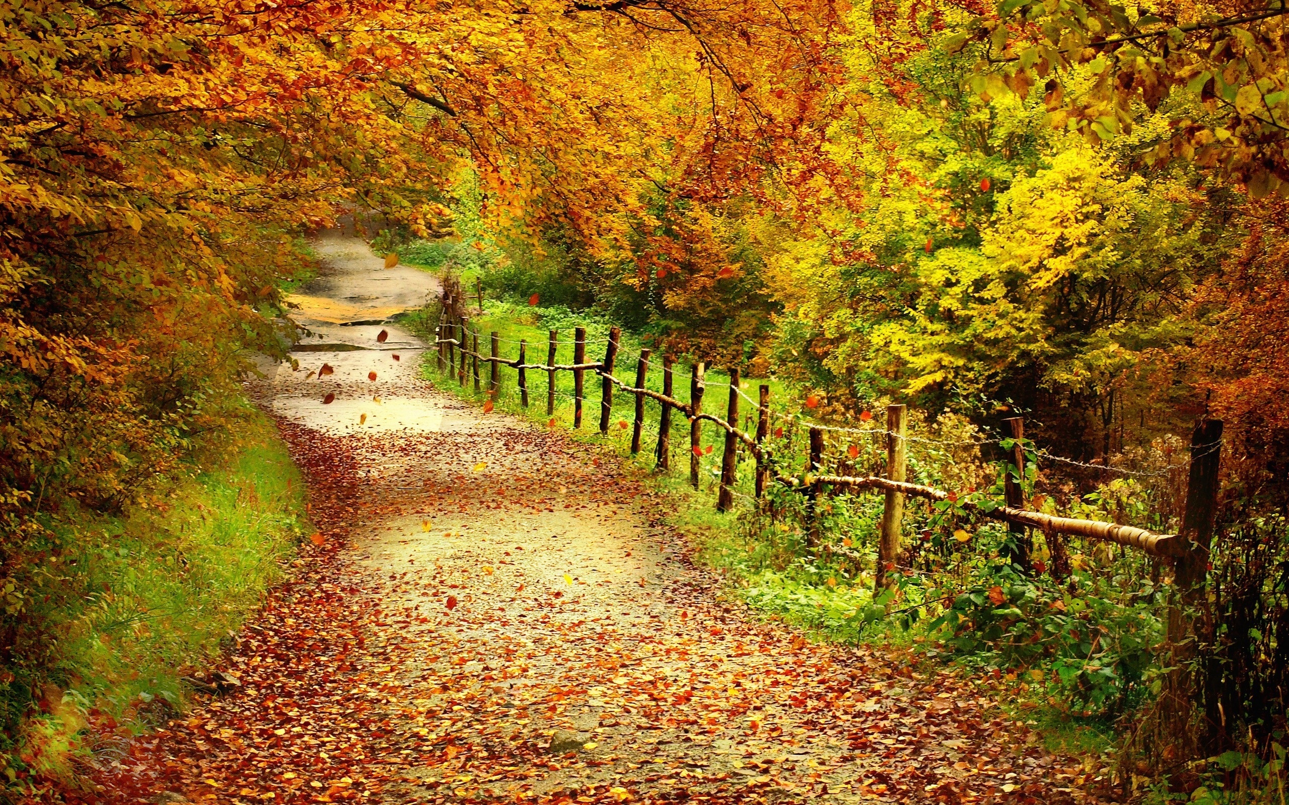 Autumn splendor, Harvest vista, November mood, Fall serenity, Fireside memories, 2560x1600 HD Desktop