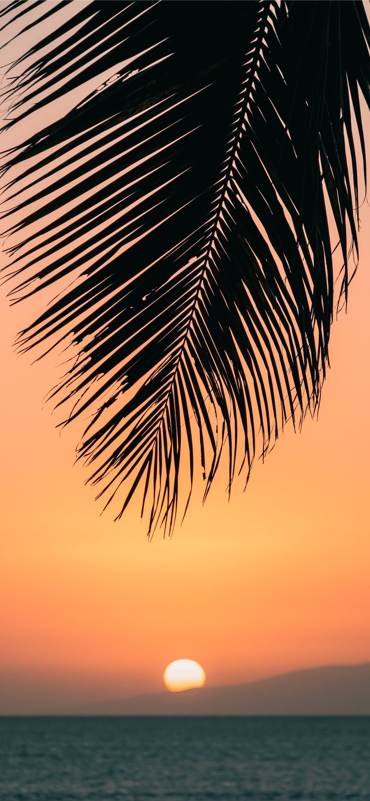 Hawaiian sunset, Tropical paradise, Vibrant colors, Serene beauty, 1290x2780 HD Handy
