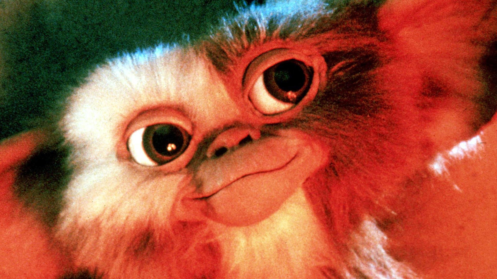Gremlin Gizmo: Mogturmen wanted the Mogwai to be able to easily reproduce themselves. 1920x1080 Full HD Background.