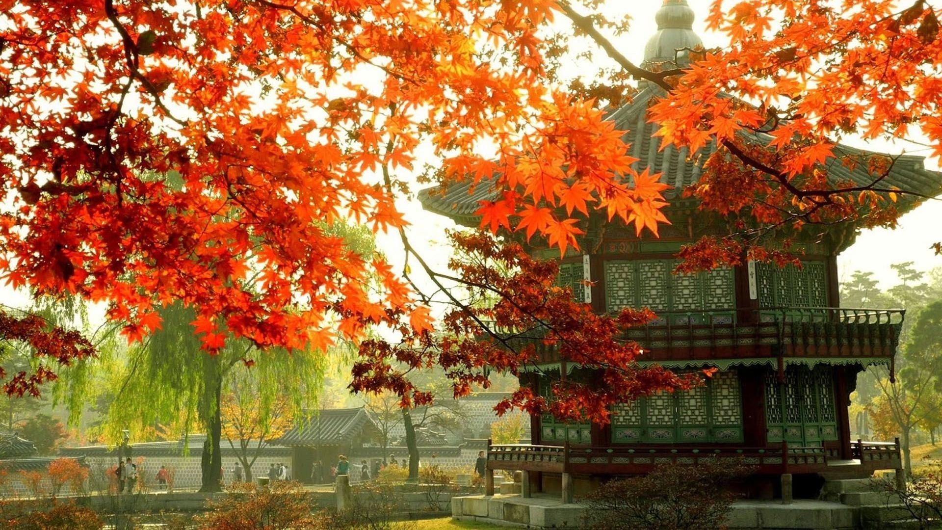 Korean autumn, Seasonal beauty, Autumn vibes, Enchanting colors, 1920x1080 Full HD Desktop