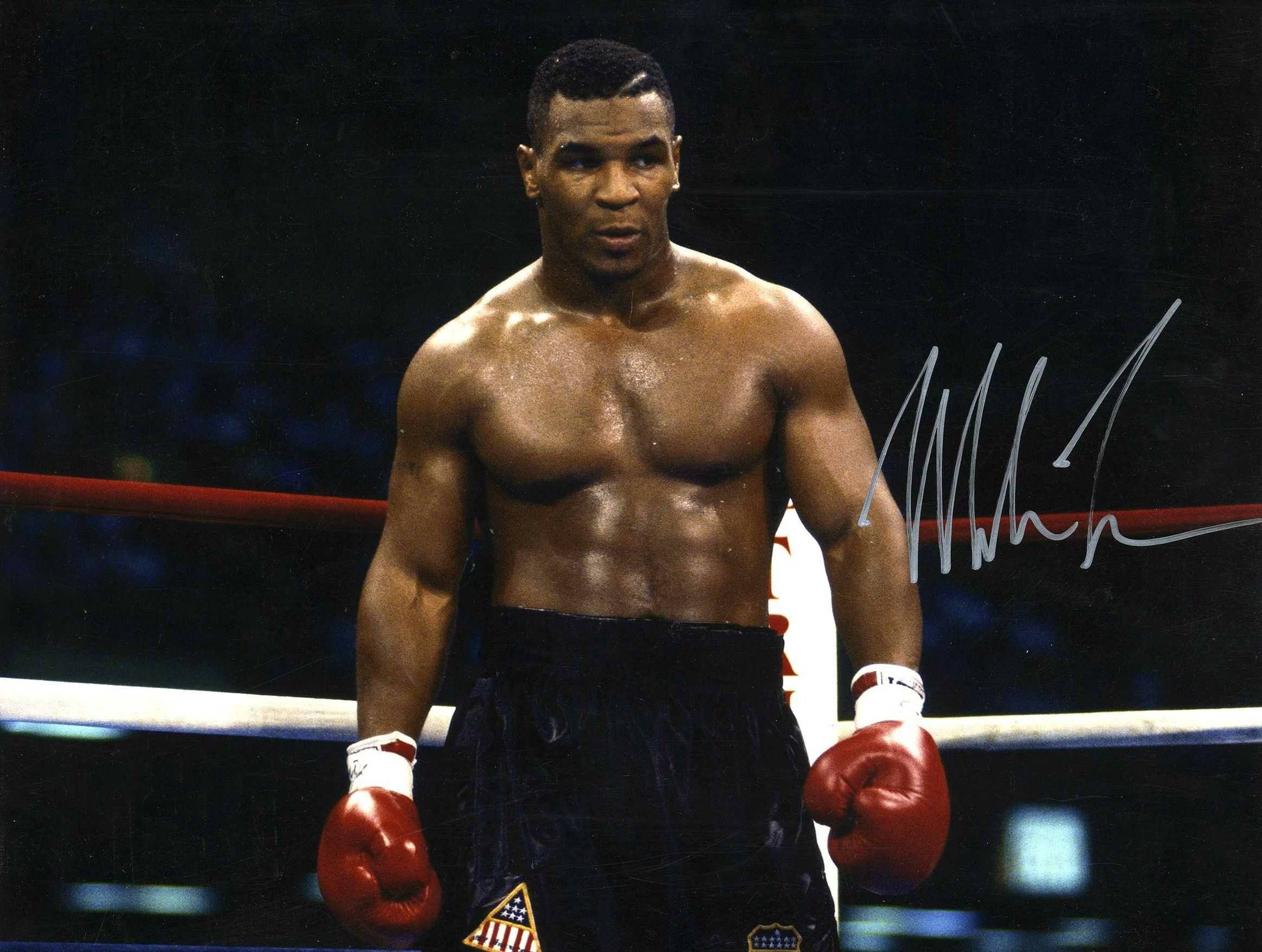Mike Tyson, Iron Mike, Intimidating presence, Boxing icon, 2330x1760 HD Desktop