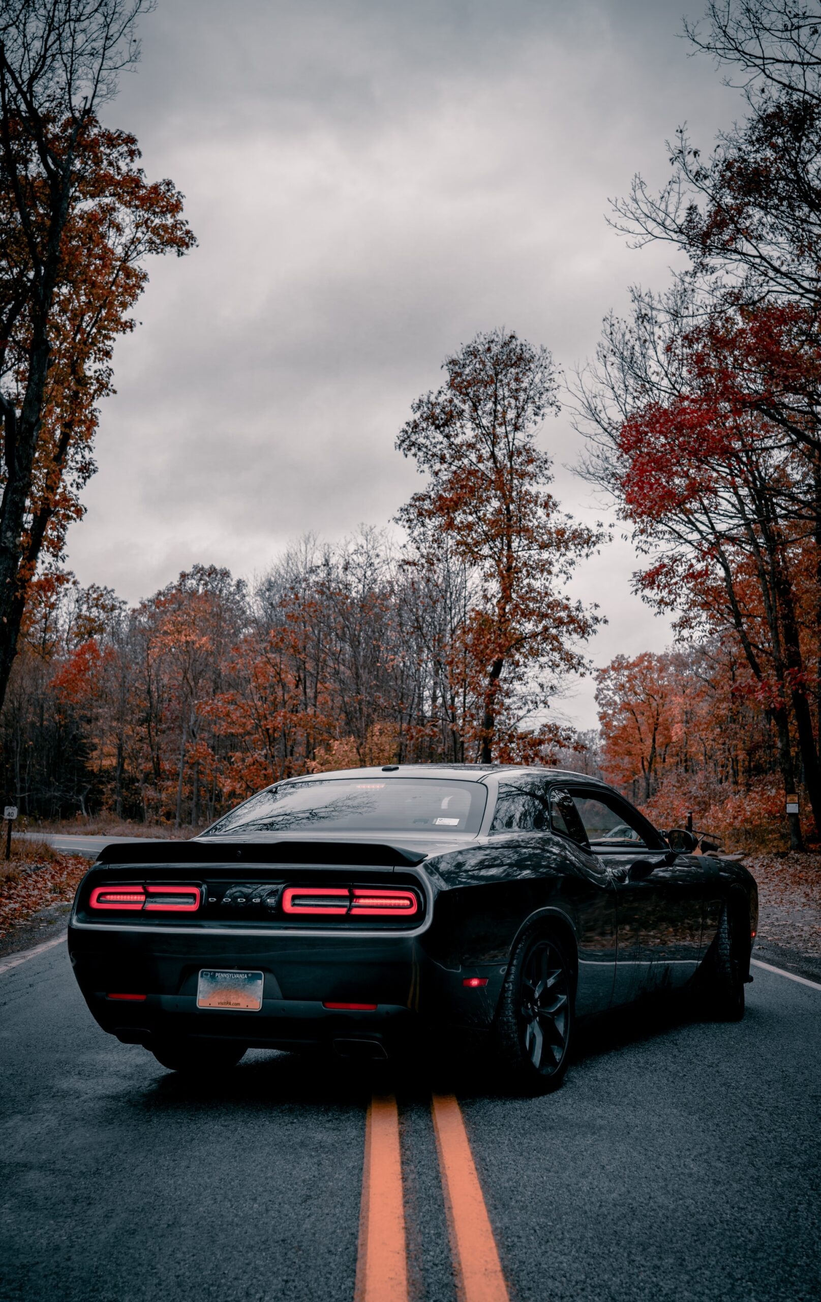 Dodge Challenger, Daily driver, Hill AgriC, Auto performance, 1620x2560 HD Phone