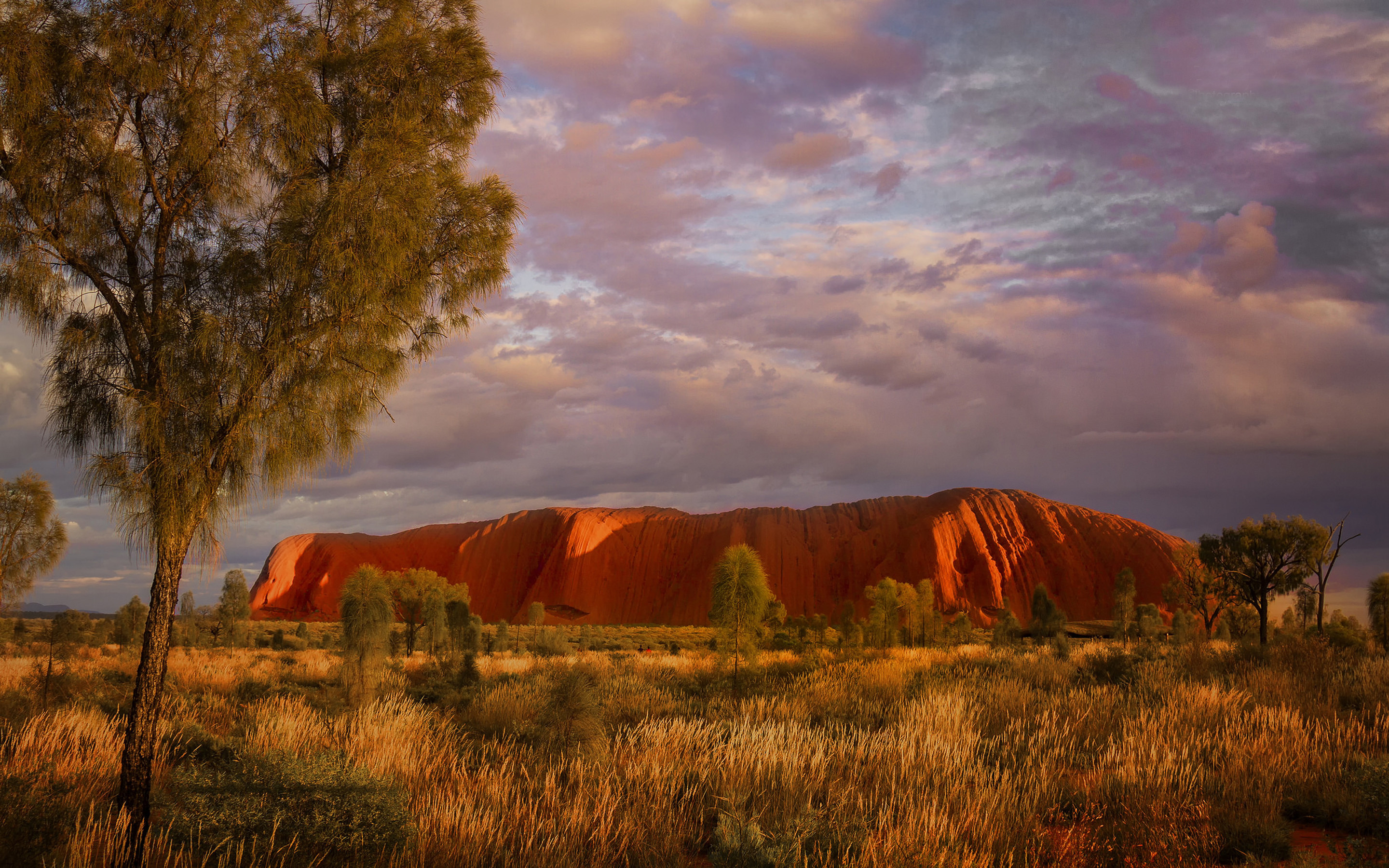 Uluru, Northern Territory, Australia, Jacqui Barker, 2880x1800 HD Desktop