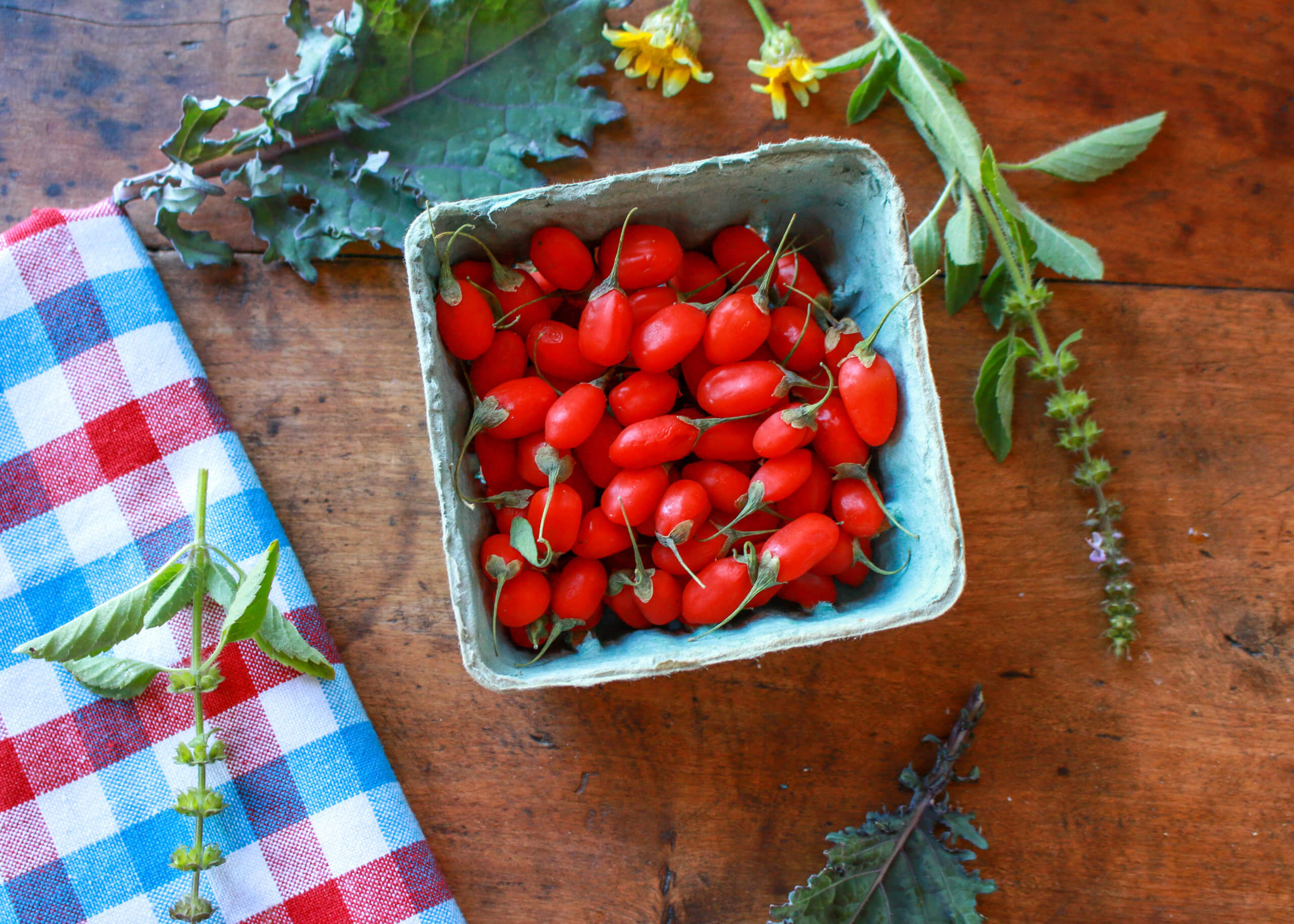Ways to use goji berries, Sharon Palmer tips, Plant-powered dietitian, Nutritional boost, 2560x1830 HD Desktop