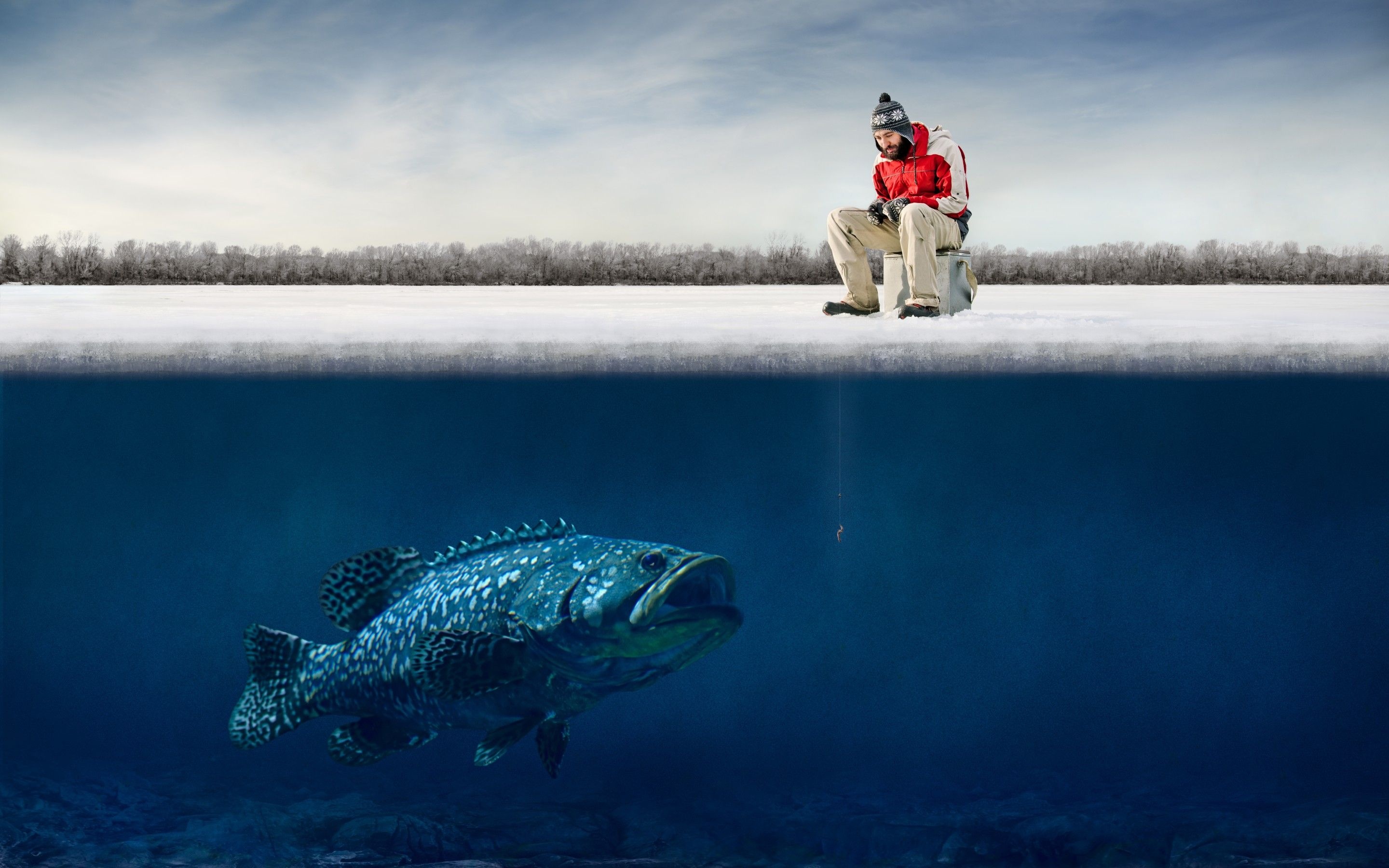 Giant grouper, Ice Fishing Wallpaper, 2880x1800 HD Desktop