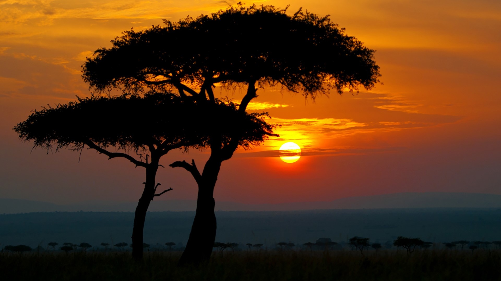 Sunset in Africa, Maasai Mara National Reserve, Narok County, Kenya, Windows 10 spotlight images, 1920x1080 Full HD Desktop