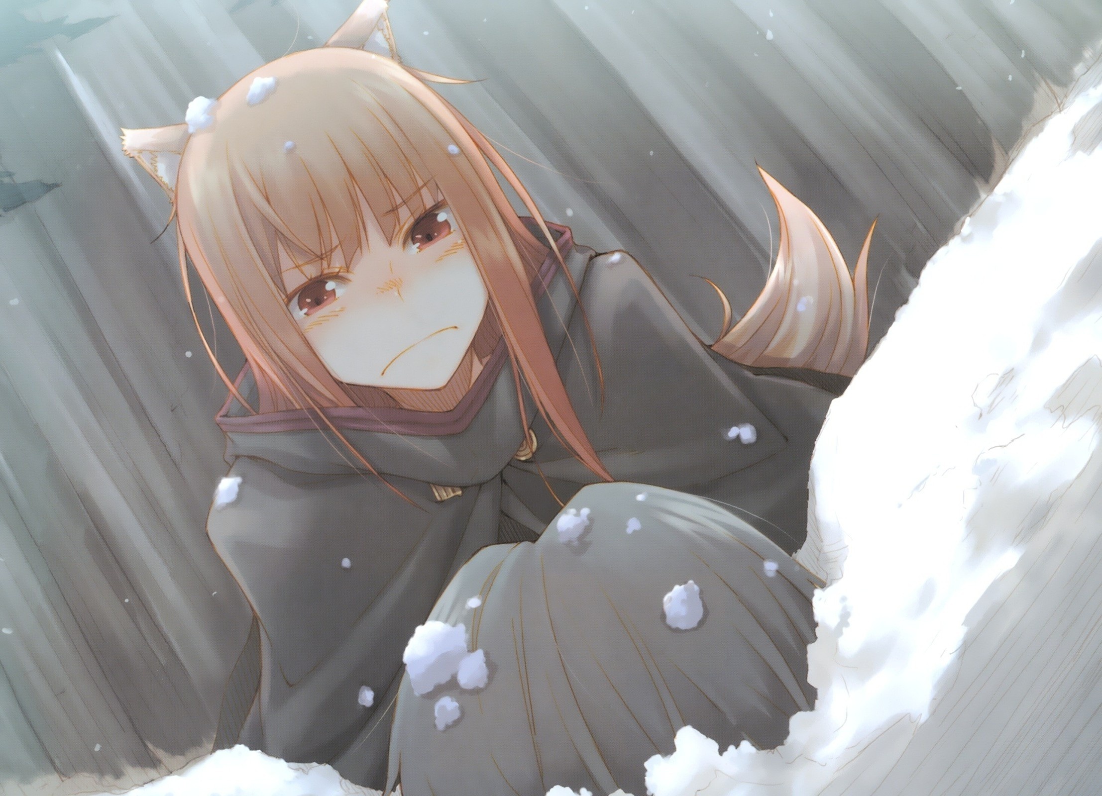 Spice and Wolf (Anime): Animation, Smart and confident manga protagonist. 2220x1600 HD Background.