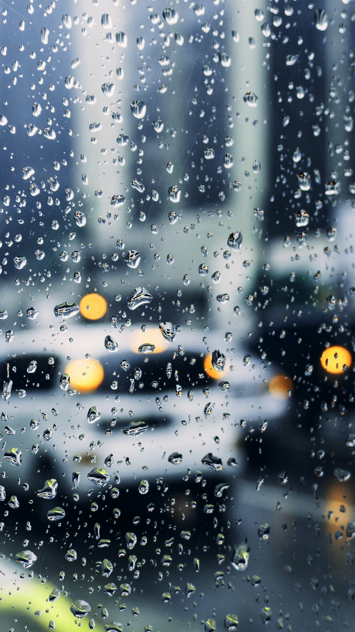Rain: One of the six main types of precipitation, Drizzle. 1250x2210 HD Wallpaper.