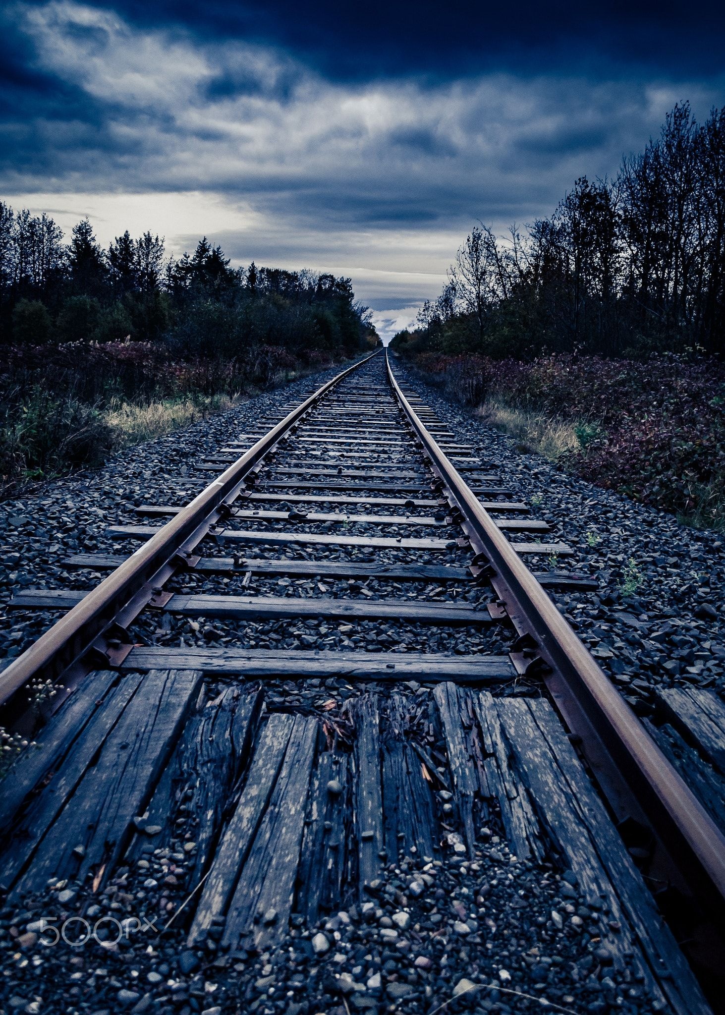 Railway, Scenic tracks, Nature photography, Serene atmosphere, 1470x2050 HD Handy