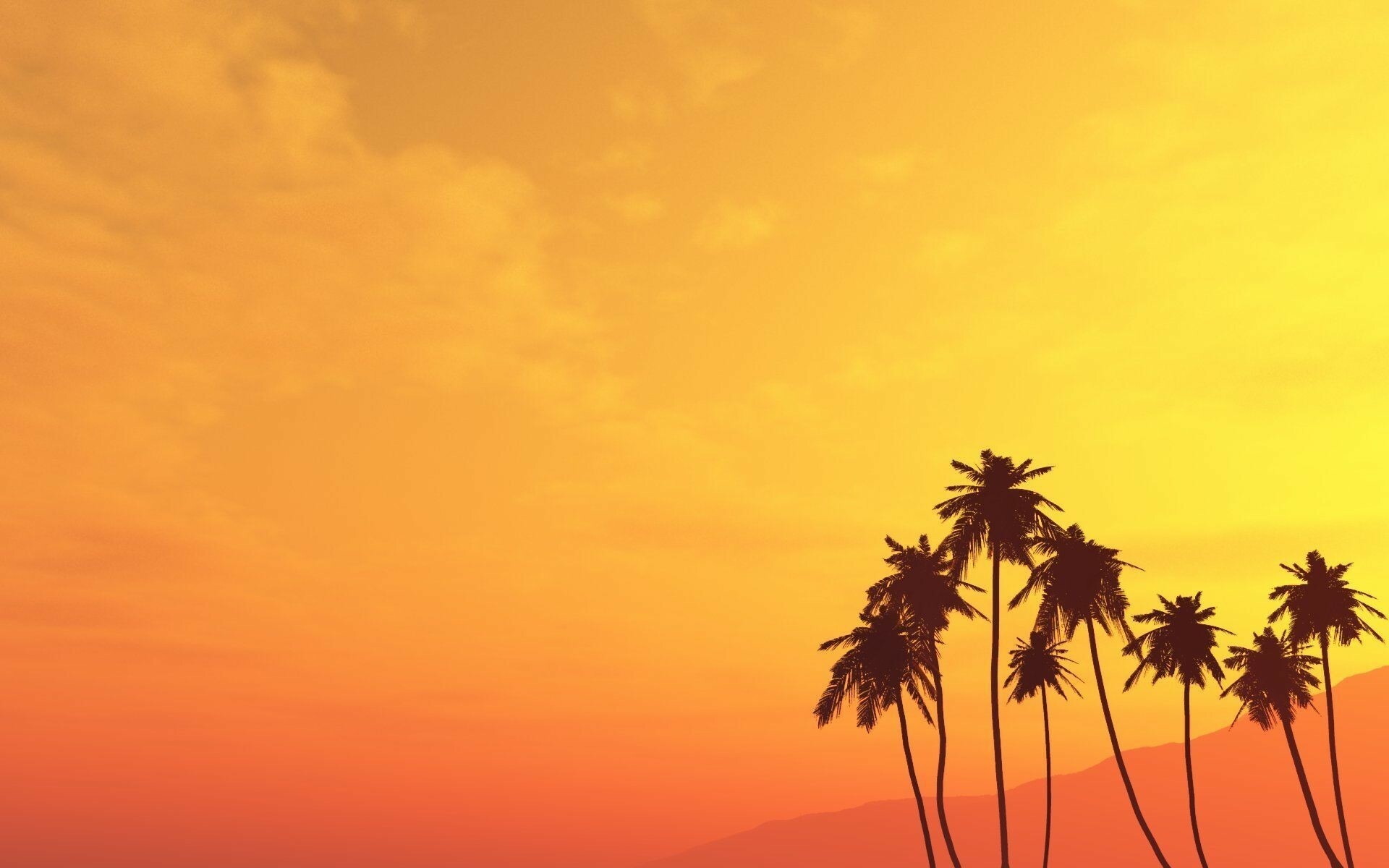 Palm Tree: A plant, Grows in tropical regions, Minimalistic. 1920x1200 HD Background.