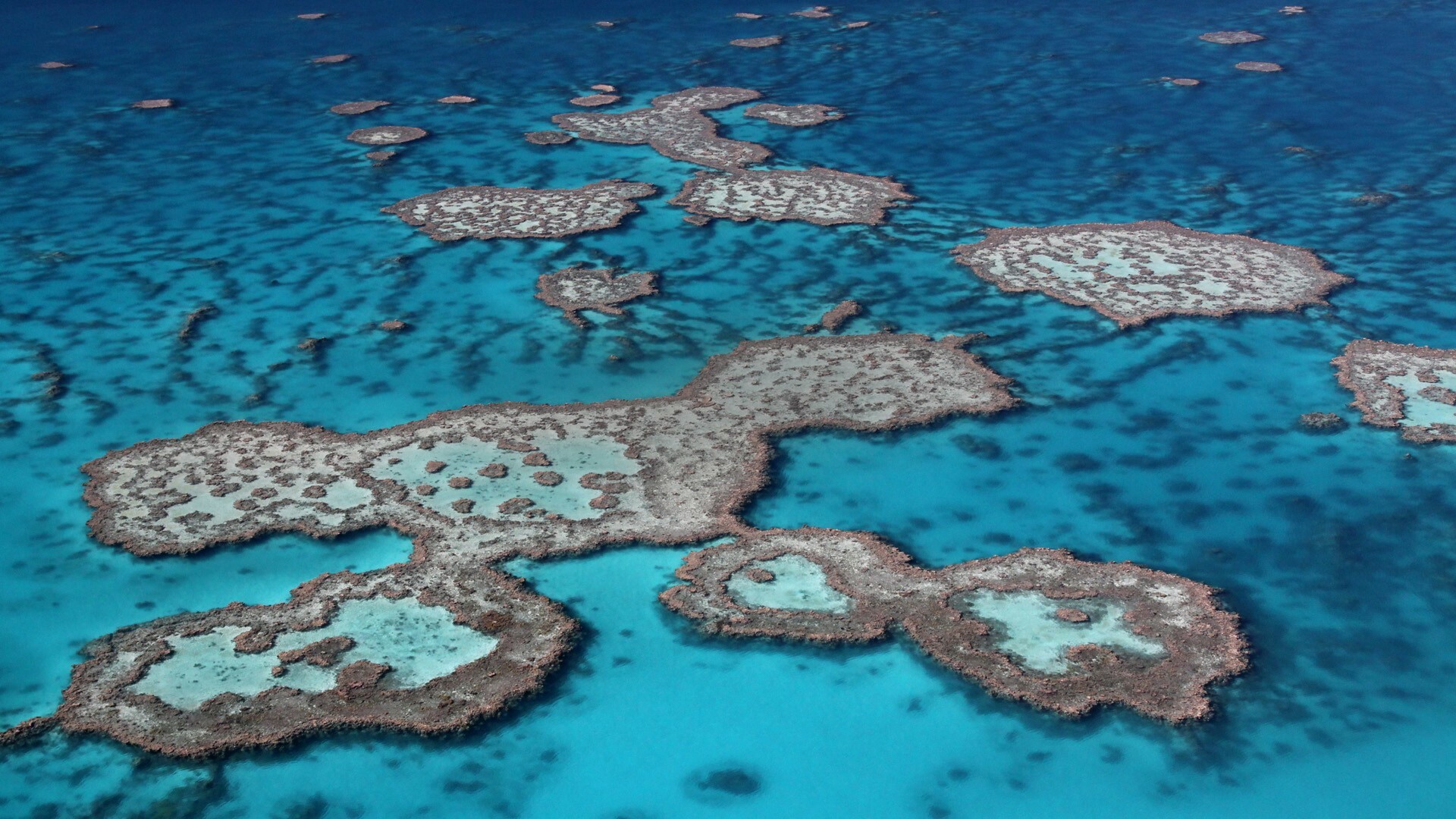 Great Barrier Reef: One of the Seven Wonders of the Natural World and the largest living organism on earth visible from space. 1920x1080 Full HD Background.