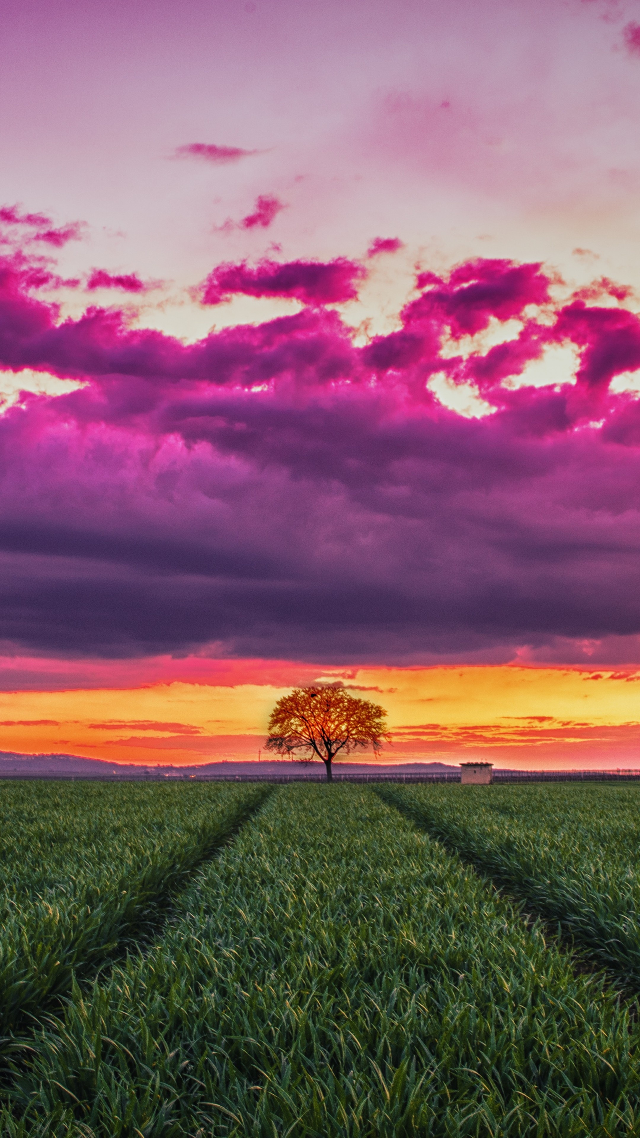 Sunset field, Sky and clouds, Tranquil scenery, Nature's palette, 2160x3840 4K Handy