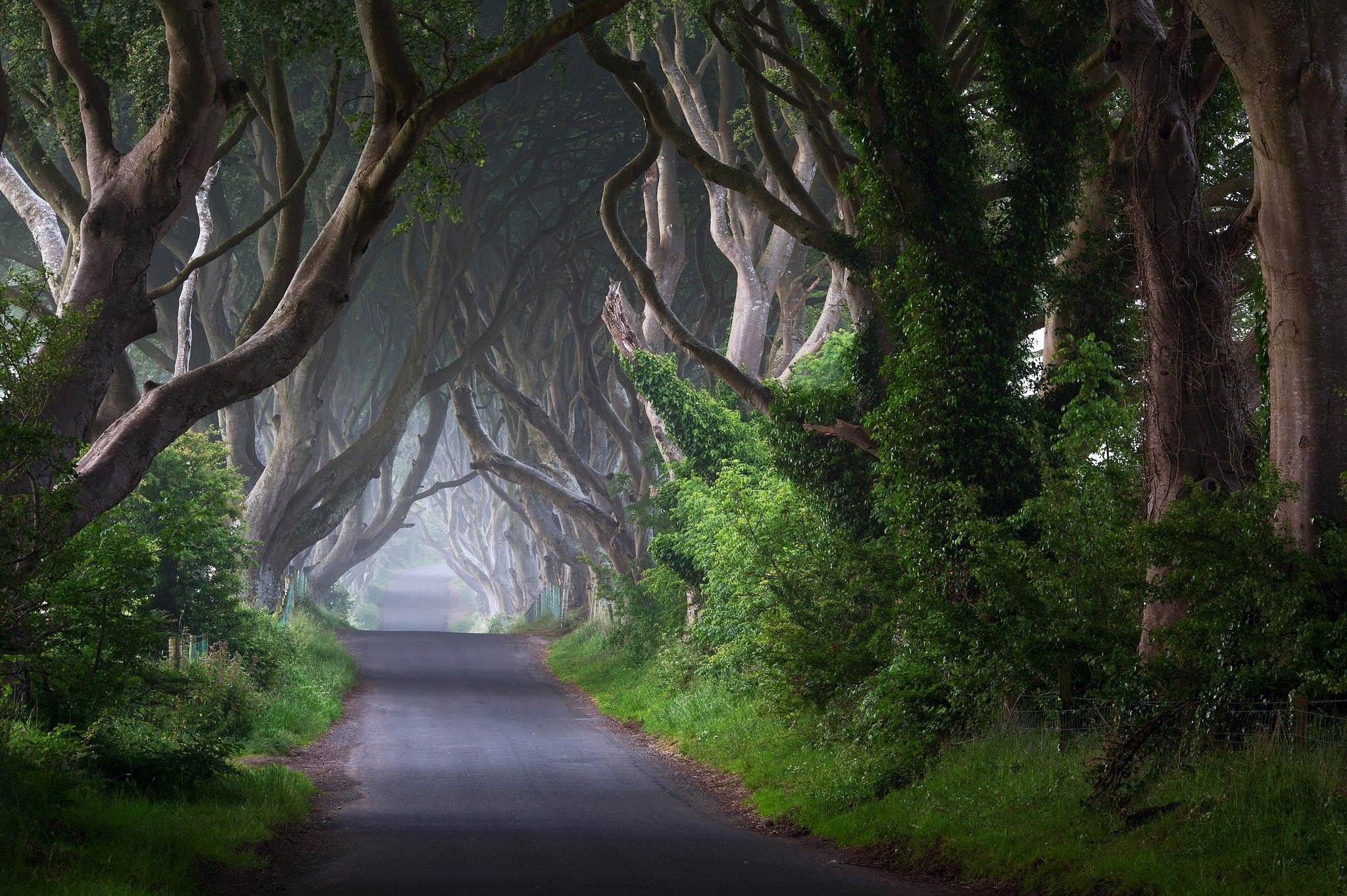 Irish Countryside, Lush green fields, Rolling hills, Tranquil beauty, 2050x1370 HD Desktop