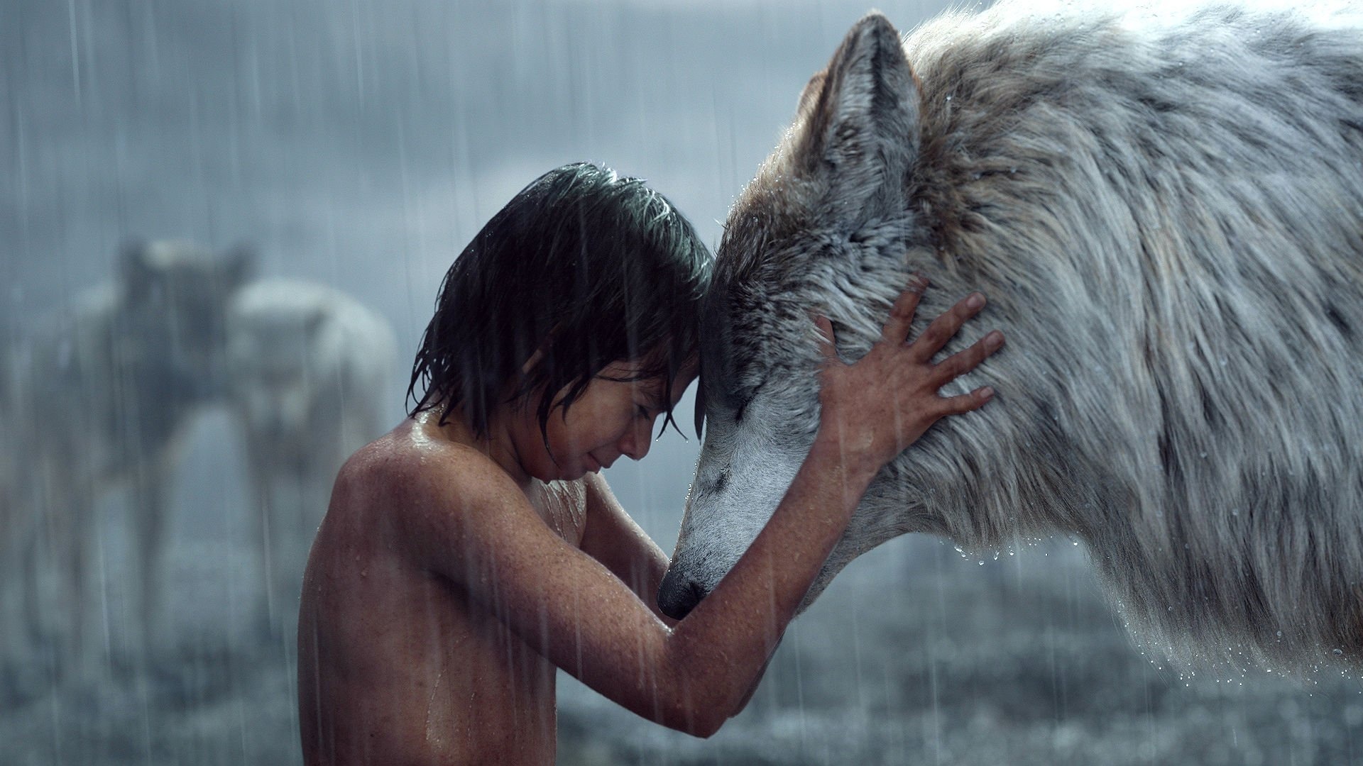 The Jungle Book movie, Mowgli and wolf, Bond of friendship, Jungle adventures, 1920x1080 Full HD Desktop
