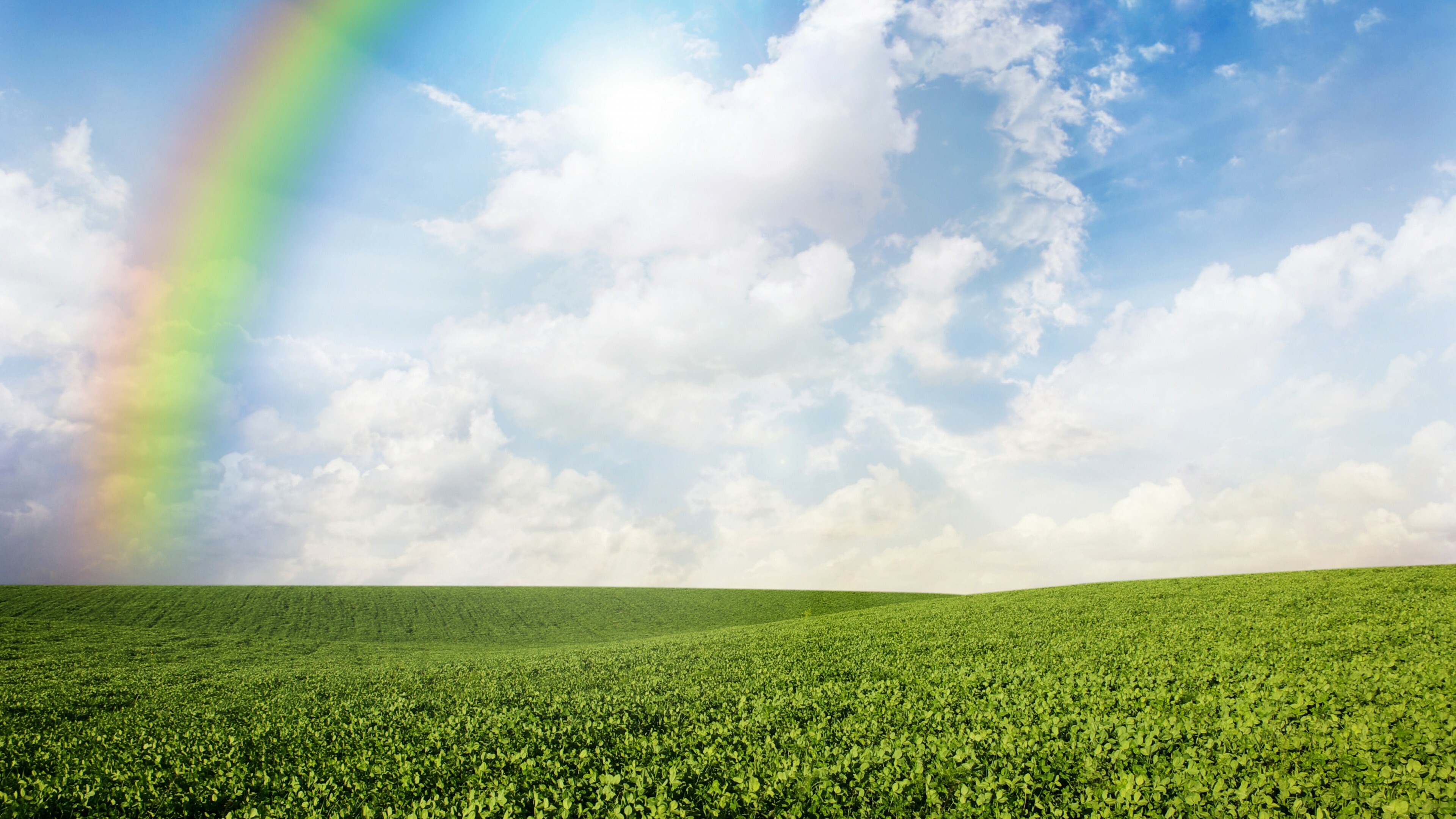 Rainbow Colors: Meadows, Field, Colorful meteorological phenomenon. 3840x2160 4K Background.
