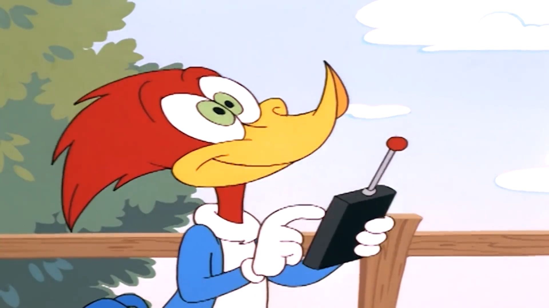 Woody Woodpecker, Classic animation, Cheeky bird, Cartoon character, 1920x1080 Full HD Desktop