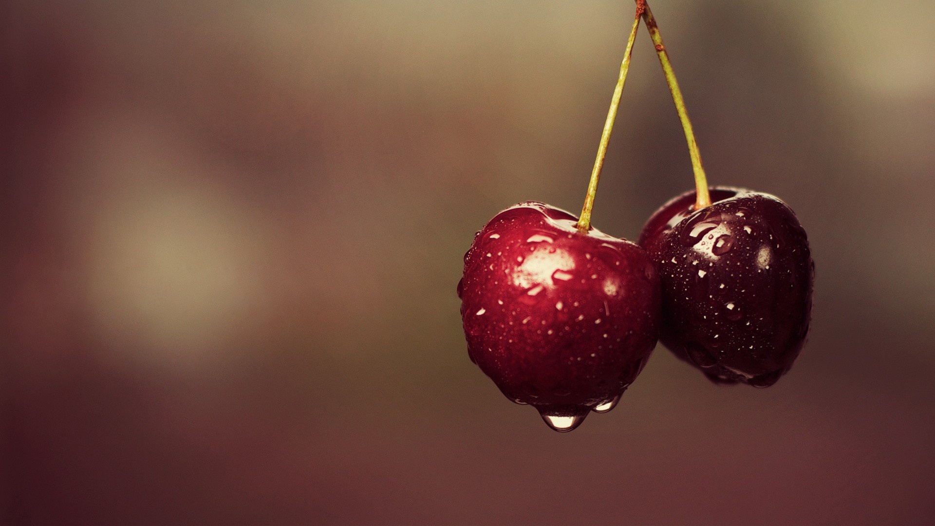 Cherry: Contain high amounts of fiber, vitamin C, and potassium. 1920x1080 Full HD Wallpaper.