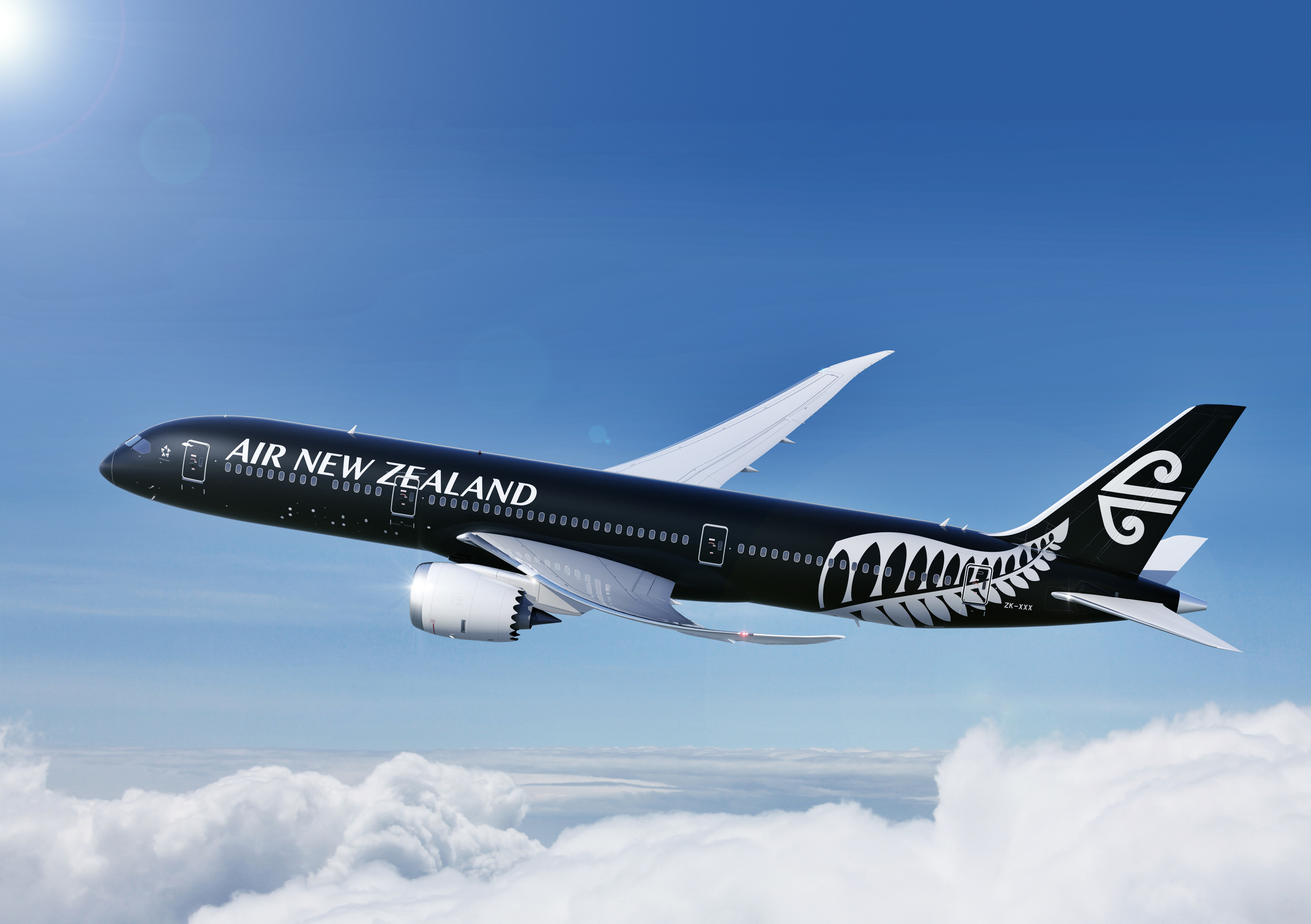 Air New Zealand Dreamliner, Stunning aircraft, 2480x1750 HD Desktop