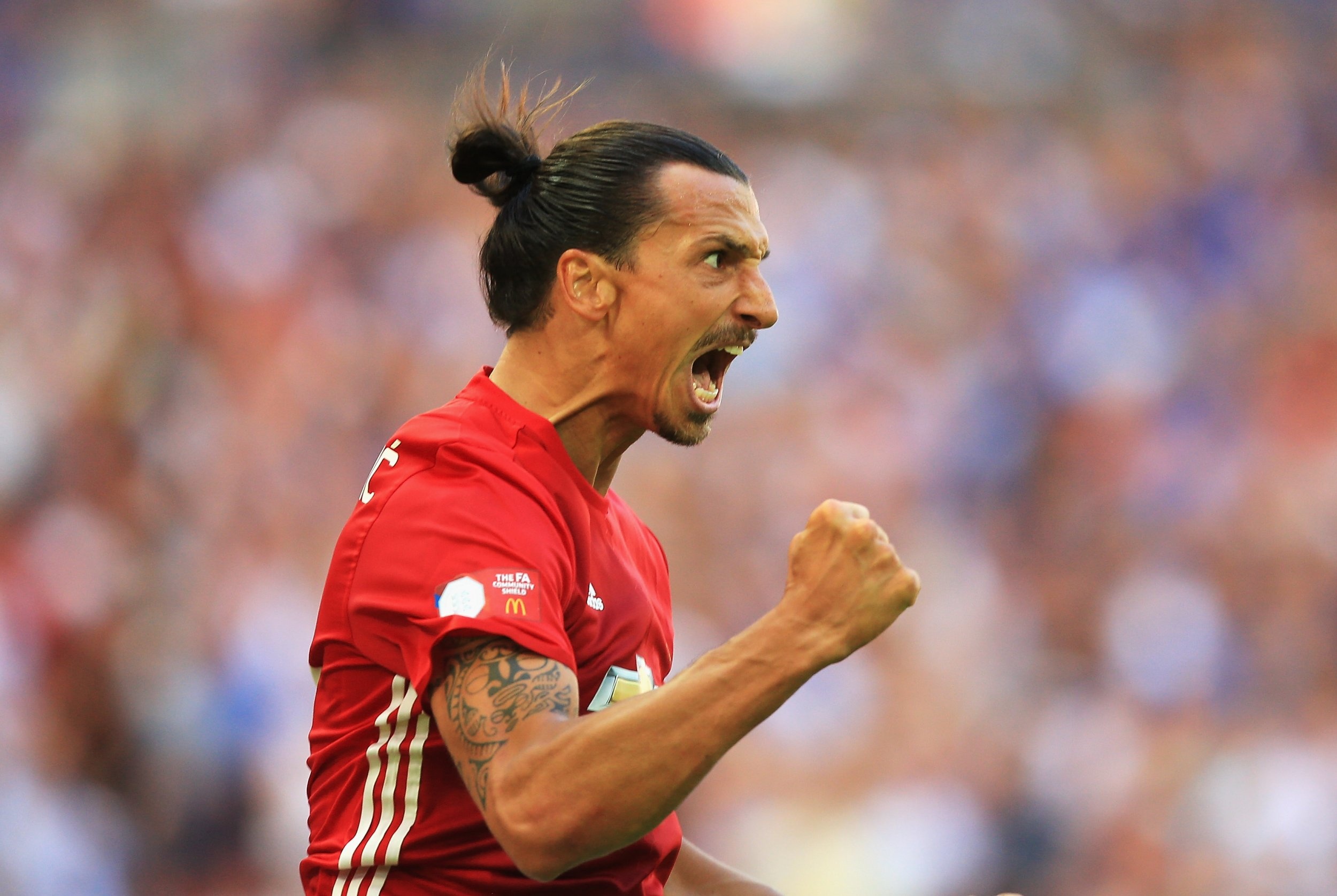Ibrahimovic, Zlatan's ambition, Striving for greatness, Manchester United's star, 2500x1680 HD Desktop
