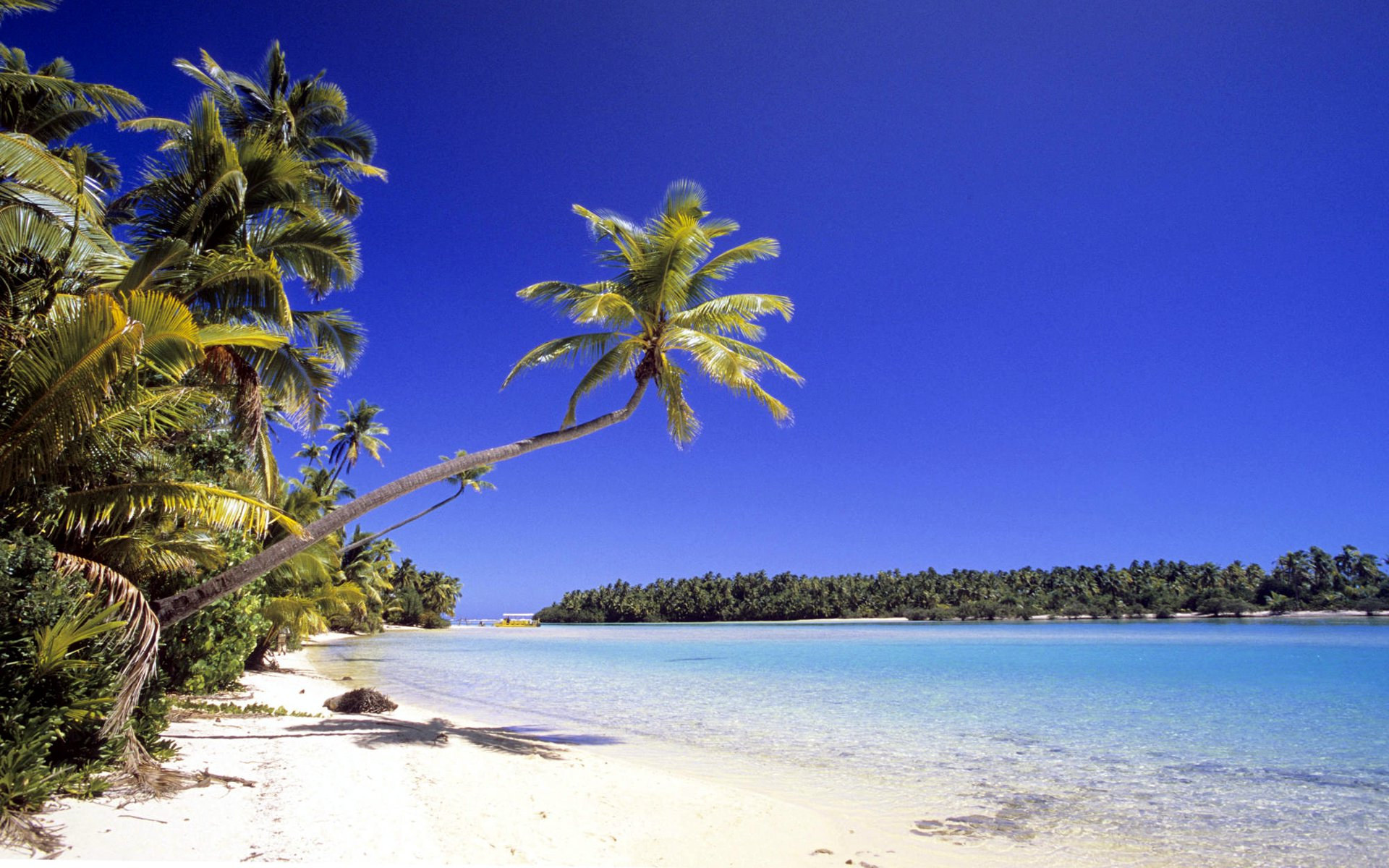 Sun and sand Cook Islands, Tropical beach, Sunny paradise, Relaxing getaway, 1920x1200 HD Desktop