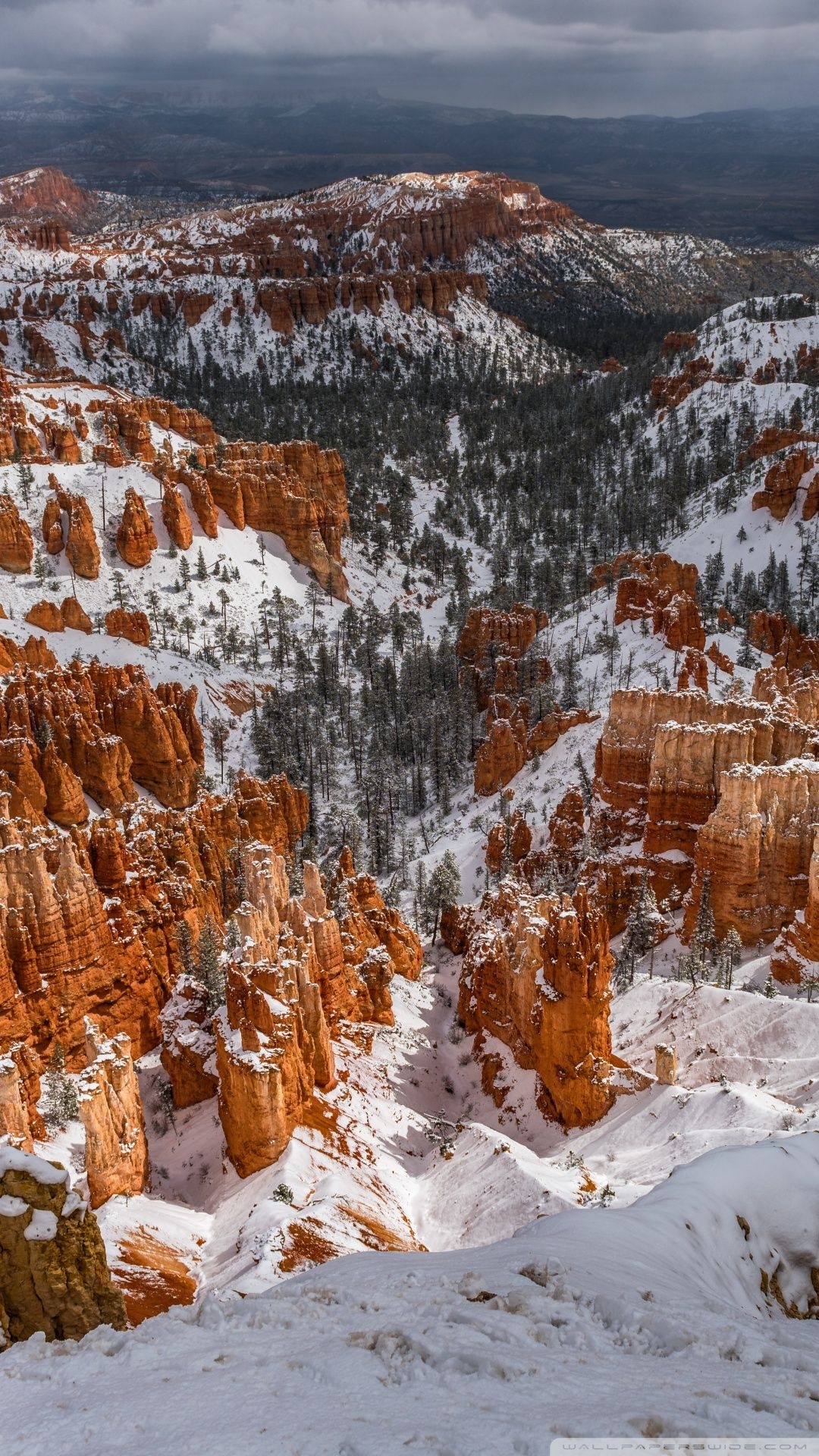 Utah winter, Snow-covered landscape, Beautiful nature, Winter wonderland, 1080x1920 Full HD Phone