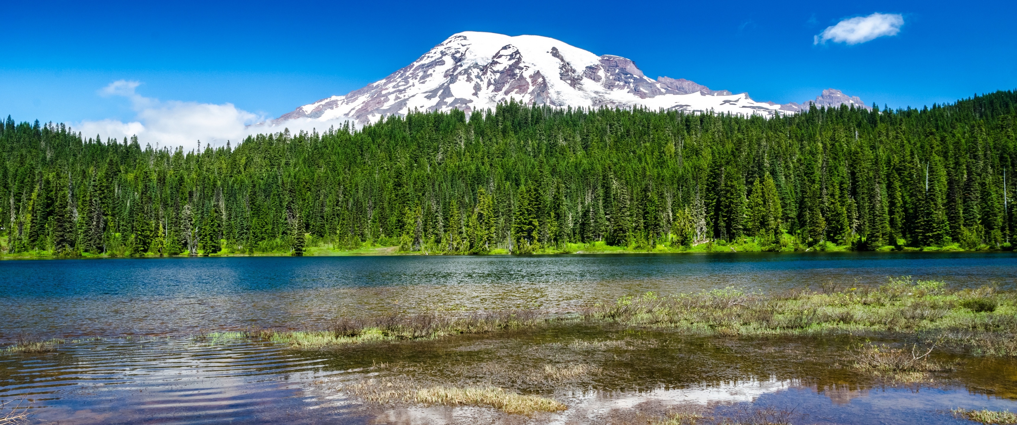 Washington State Travels - Mount Rainier National Park, 4K wallpaper, 3440x1440 Dual Screen Desktop