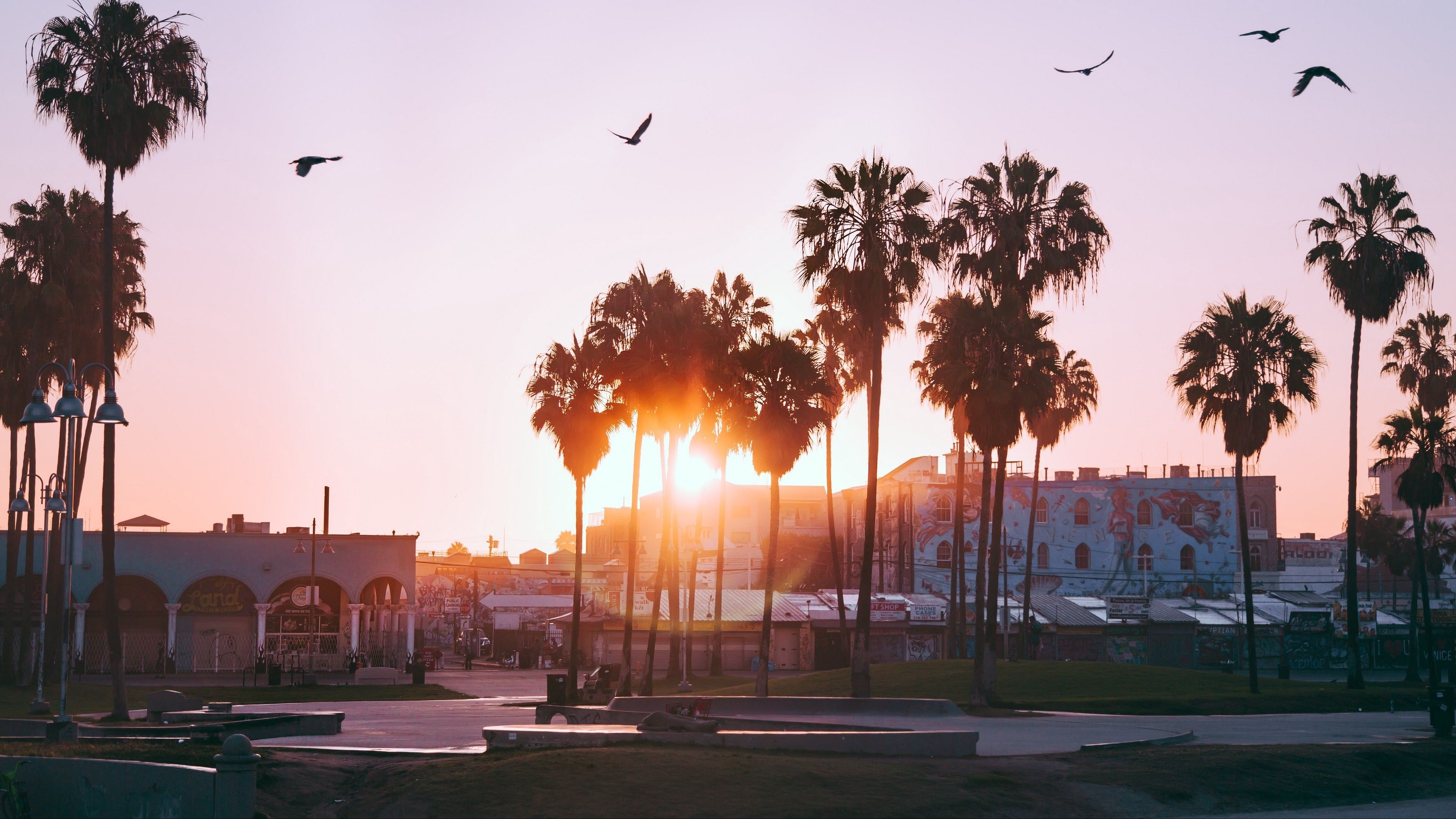 California, Palm trees dawn wallpaper, Los Angeles skyline, Desktop background, 3840x2160 4K Desktop