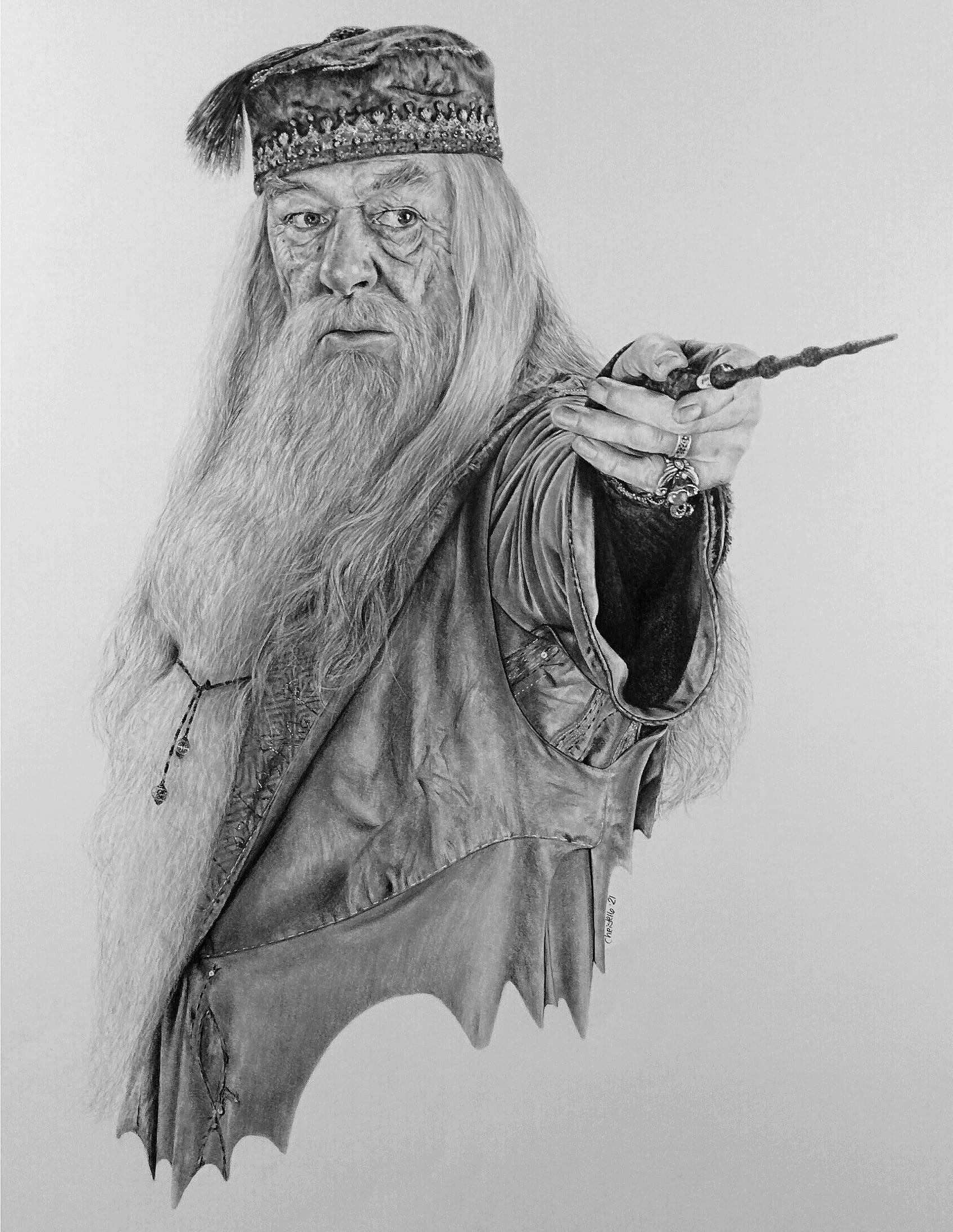 Dumbledore, Michael Gambon, Pencil drawing, Harry Potter, 1700x2200 HD Phone