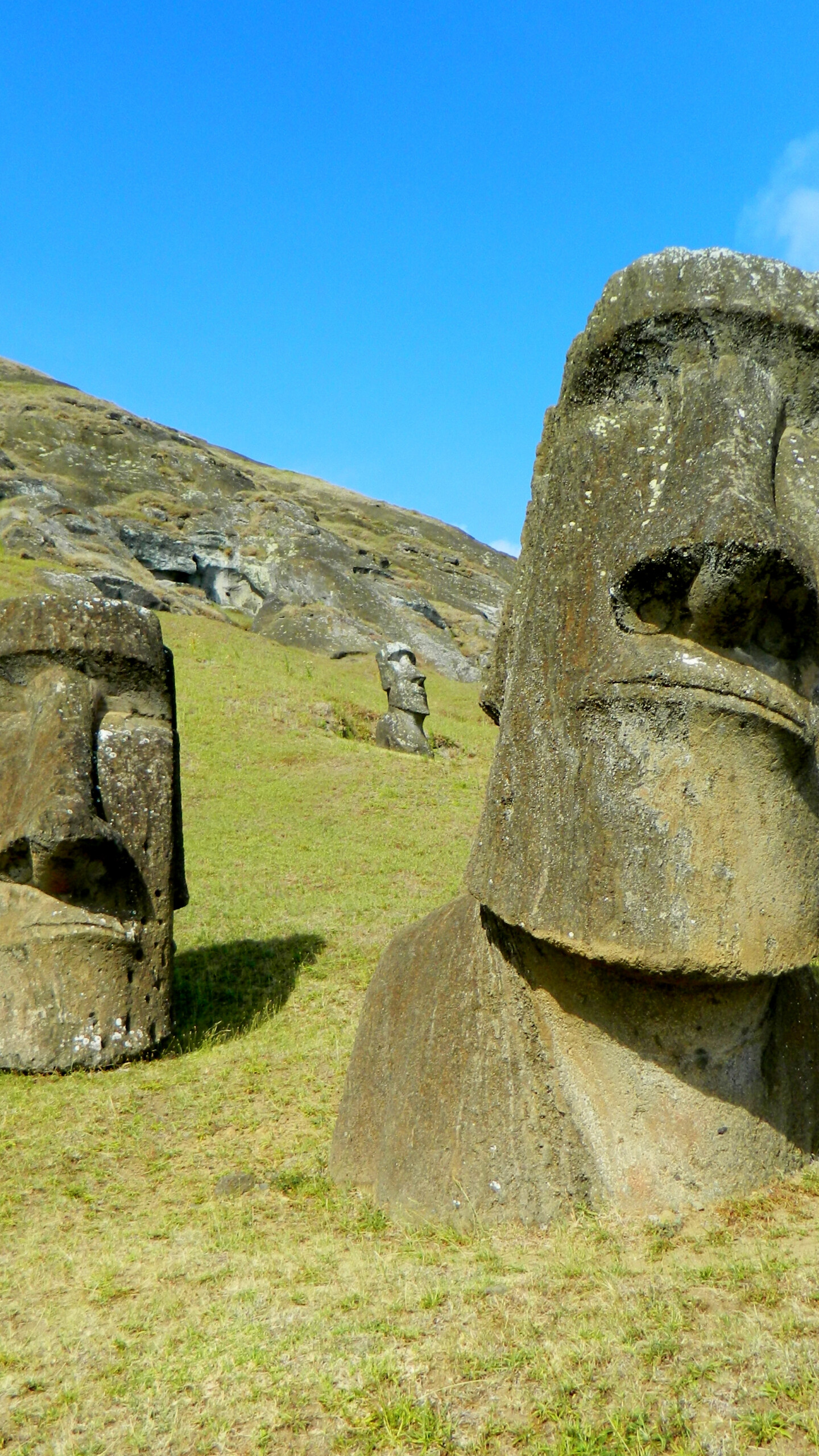 Moai: Statues, Easter Island, Monolithic Human Figures, Chile. 1440x2560 HD Background.