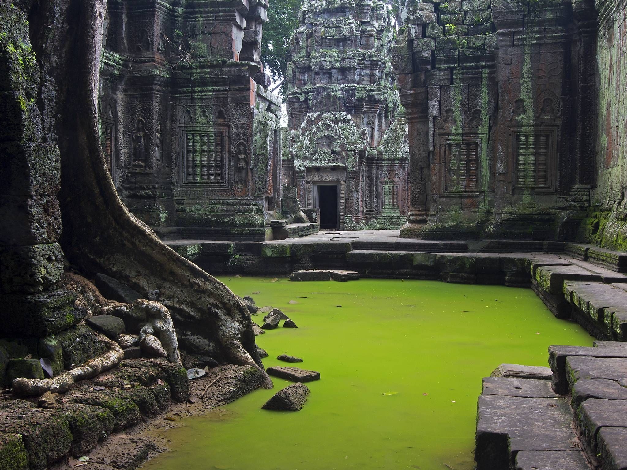 Angkor Siem Reap, Ta Prohm Temple, Siem Reap Province, Cambodia, 2050x1540 HD Desktop