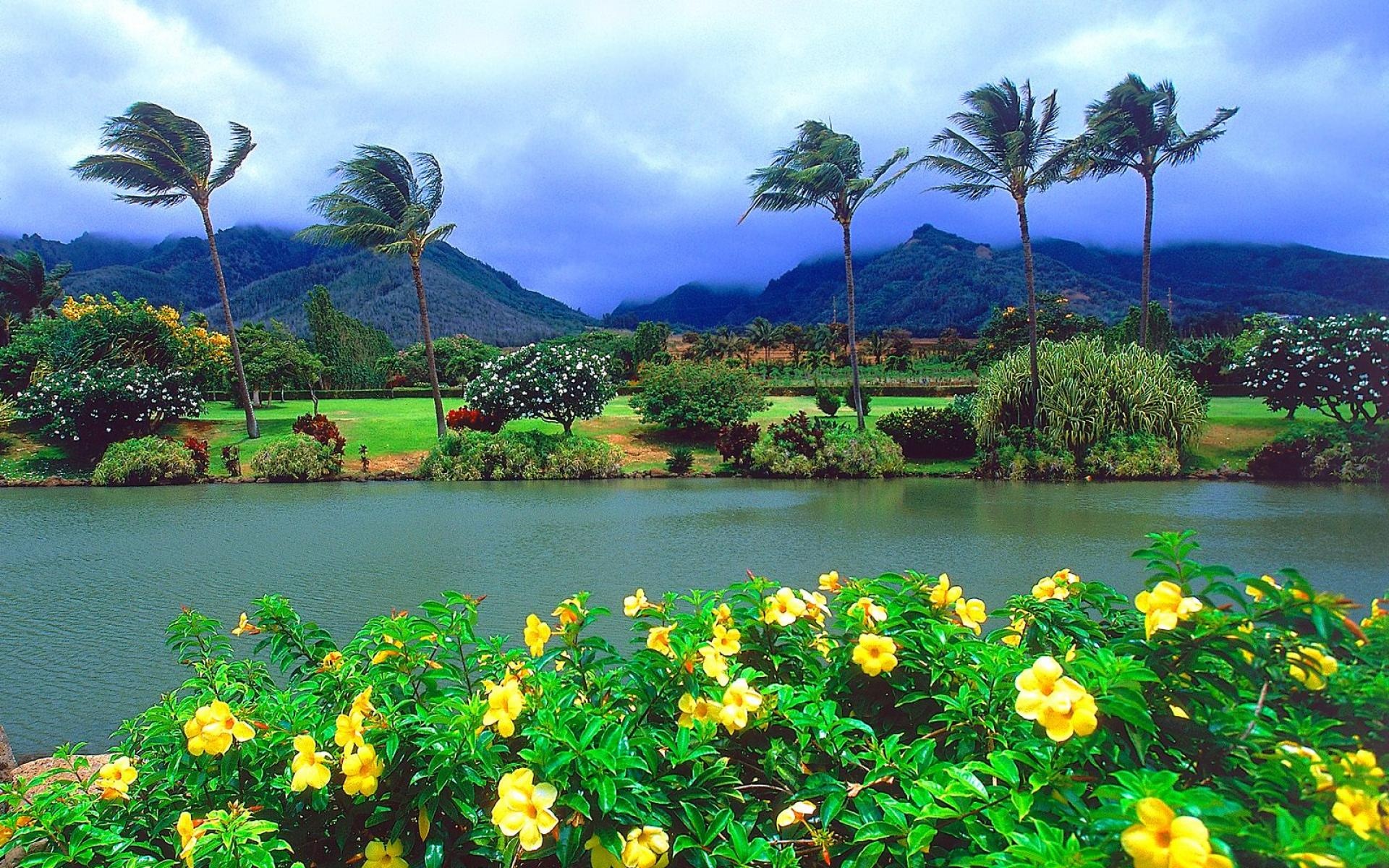 Maui island, Pristine beauty, Majestic panoramas, Tropical haven, 1920x1200 HD Desktop