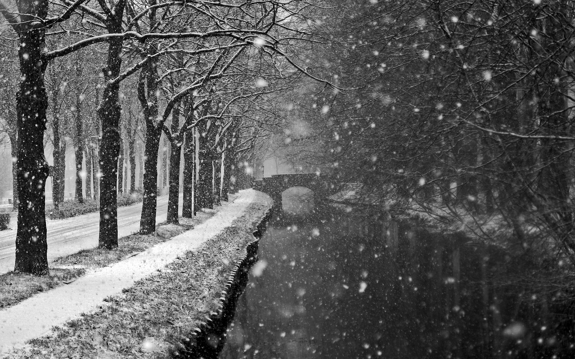 Ice storm, Blizzard wallpapers, Frozen landscape, Winter wonderland, 1920x1200 HD Desktop