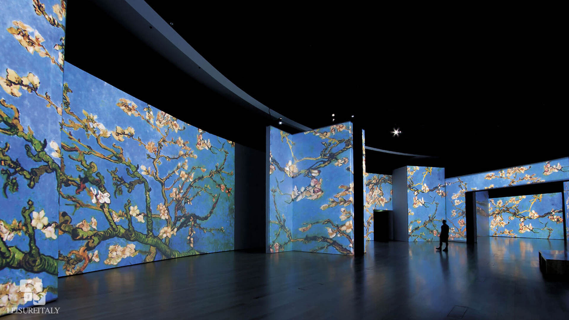 Van Gogh Alive, Florence exhibition, Interactive art, Italian leisure, 1920x1080 Full HD Desktop
