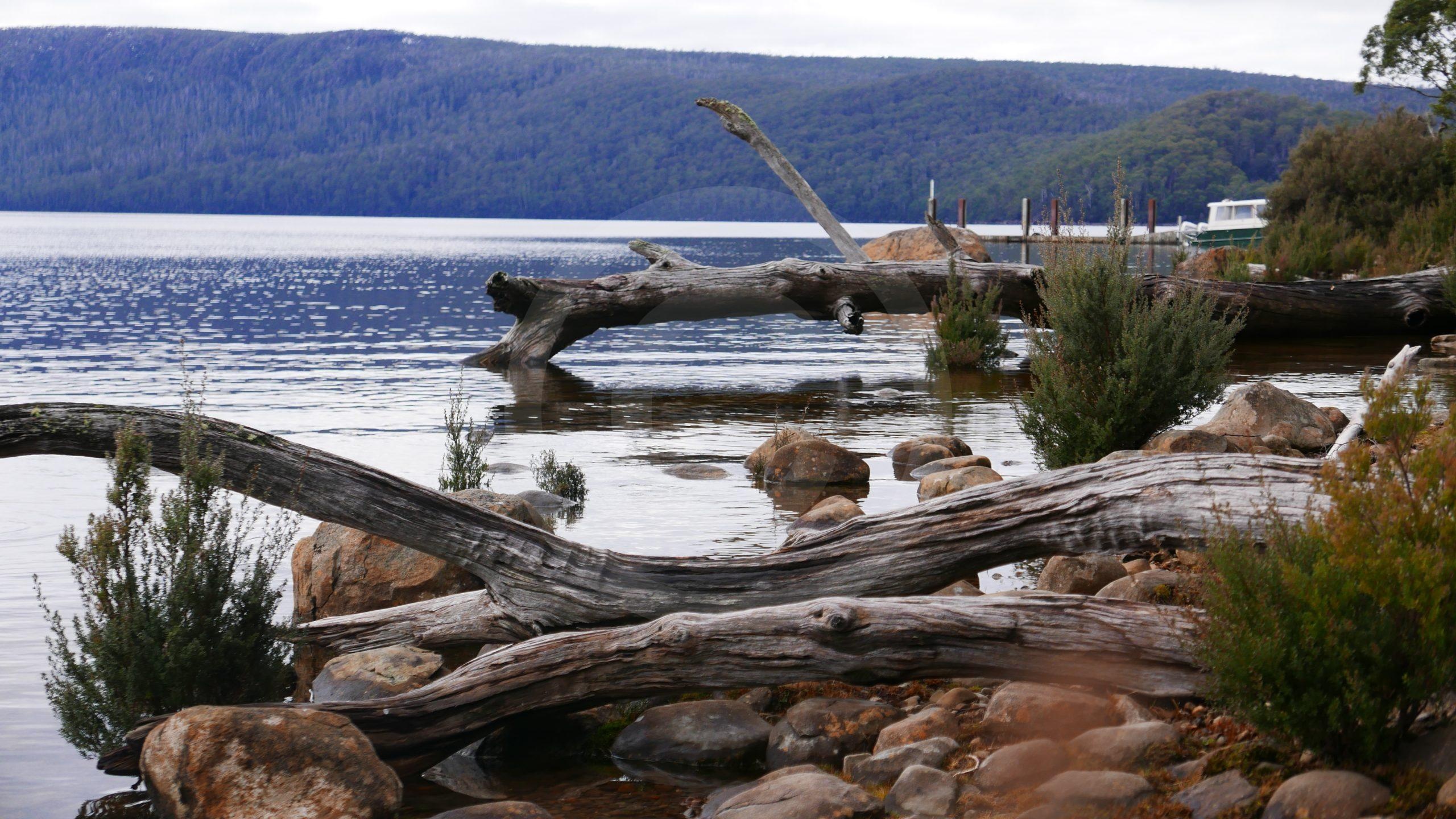 Lake Saint Clair, Camping, Cradle Mountain National Park, Tasmania, 2560x1440 HD Desktop