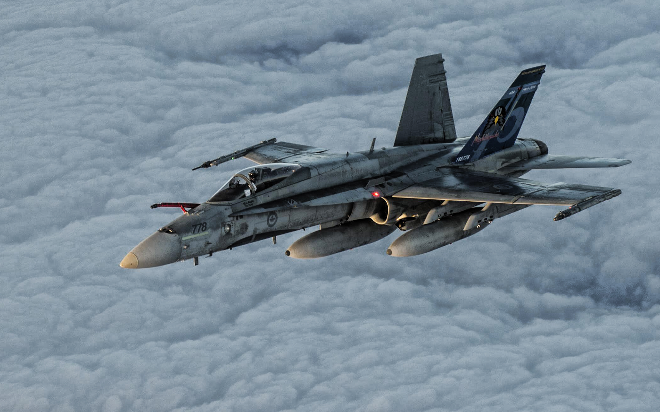 Download wallpapers McDonnell Douglas FA-18 Hornet, Canadian Air Force, fighter bomber, military aircraft, Canada, Boeing FA-18 Super Hornet for desktop with resolution. High Quality HD pictures wallpapers 2560x1600