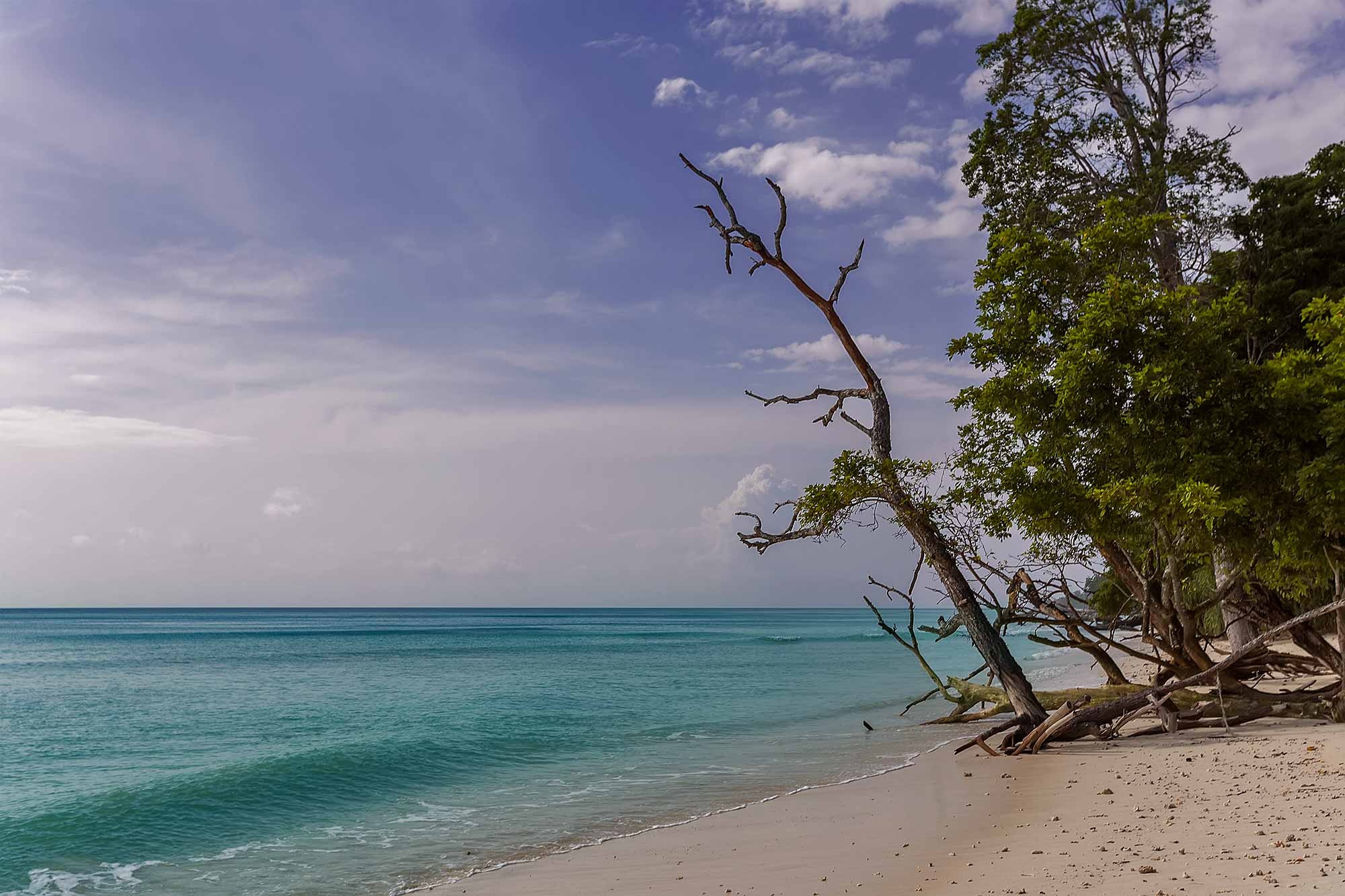 Havelock Island, Hidden paradise, Andaman Islands, Nisa and Ulli Maier, 2000x1340 HD Desktop