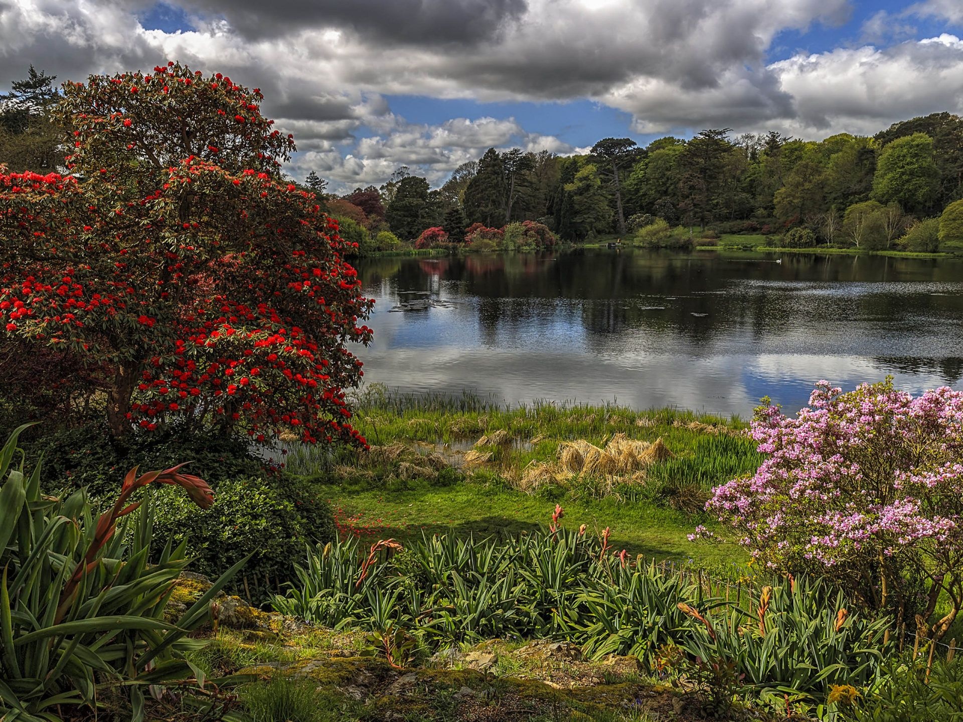Irish Countryside, Picturesque springtime, Blooming landscapes, Irish spring, 1920x1440 HD Desktop