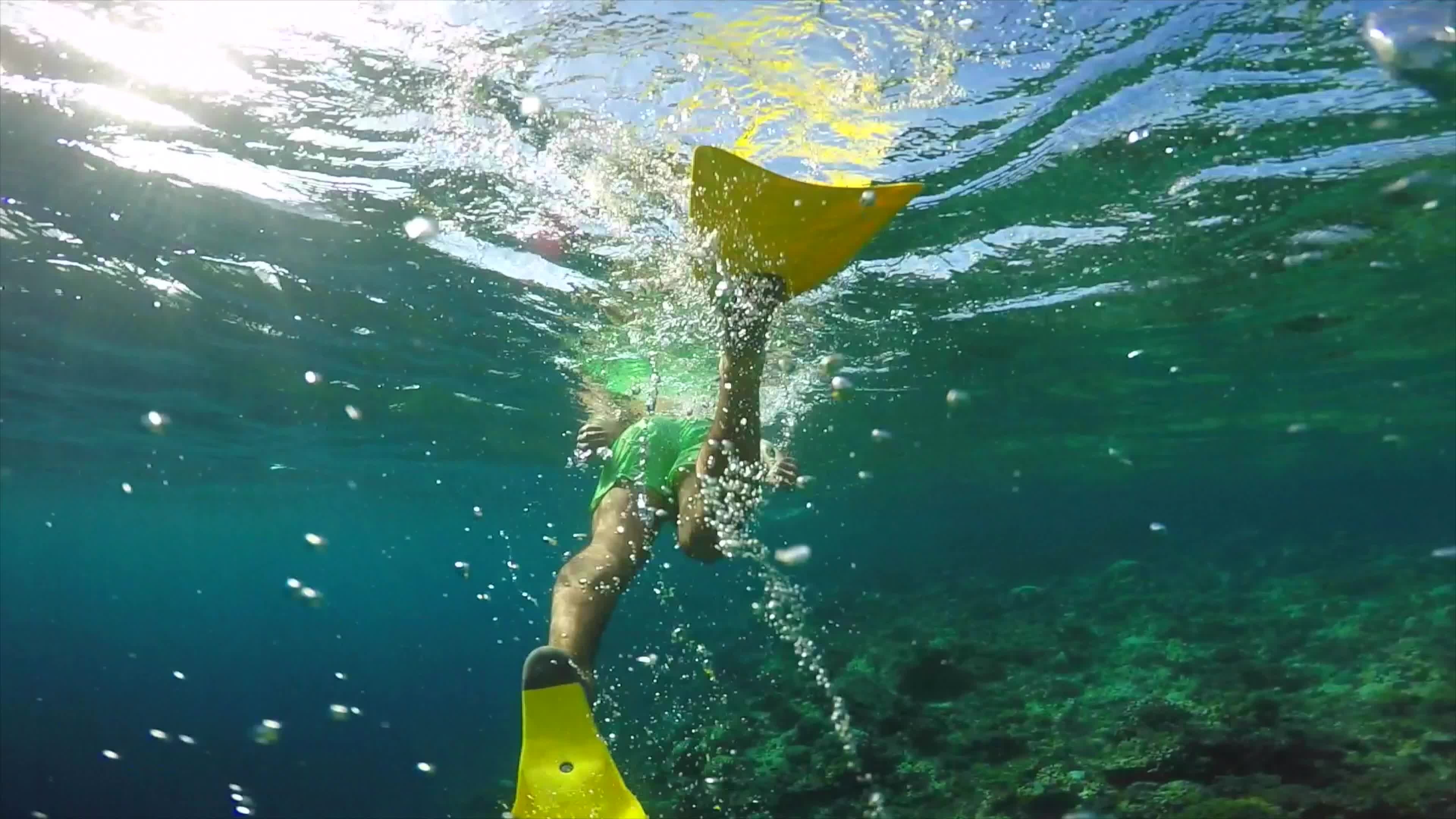 Snorkeling: A popular recreational activity, Tropical resort locations, Diving equipment, Ocean reef. 3840x2160 4K Wallpaper.