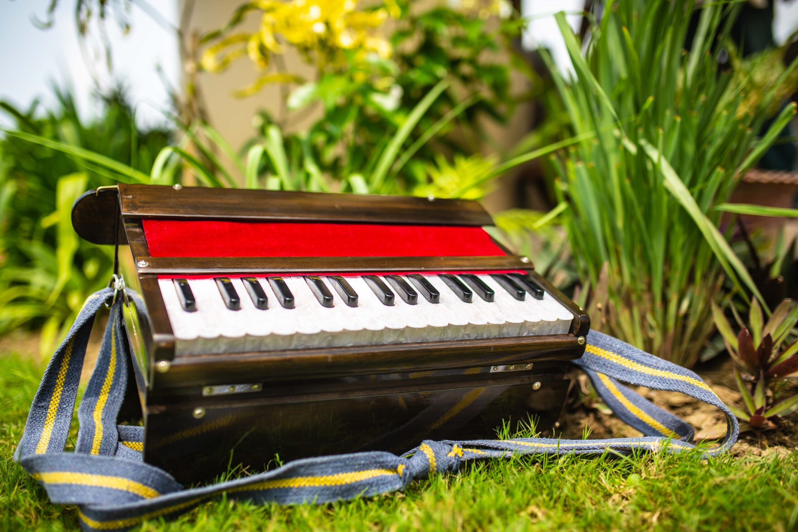 Harmonium: Mathura Harinam Style Portable Trap Organ, Fabric Strap For Comfortable Playing In The Outdoors. 2560x1710 HD Background.