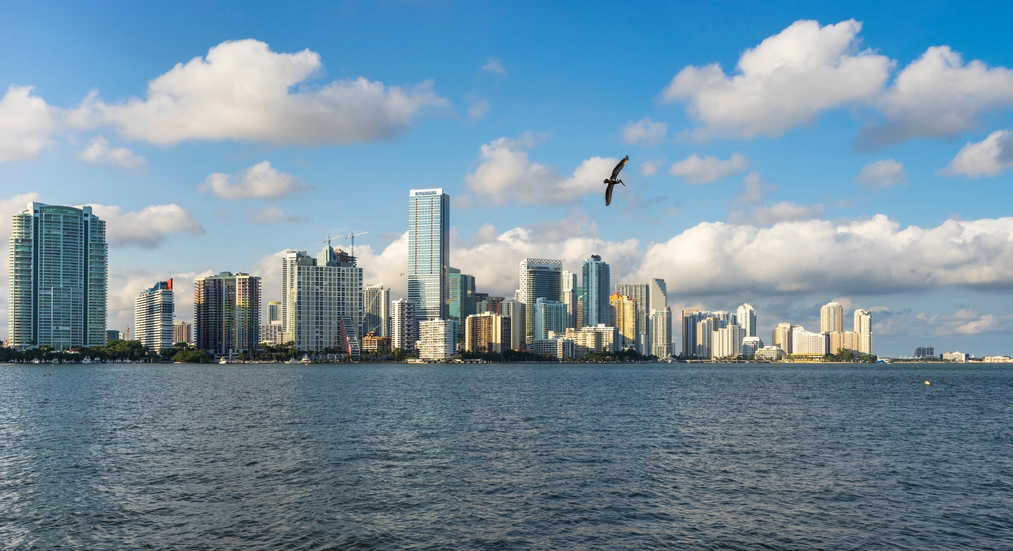 Miami Beach Skyline, Travels, Brickell neighborhood, Under the radar, 2000x1090 HD Desktop
