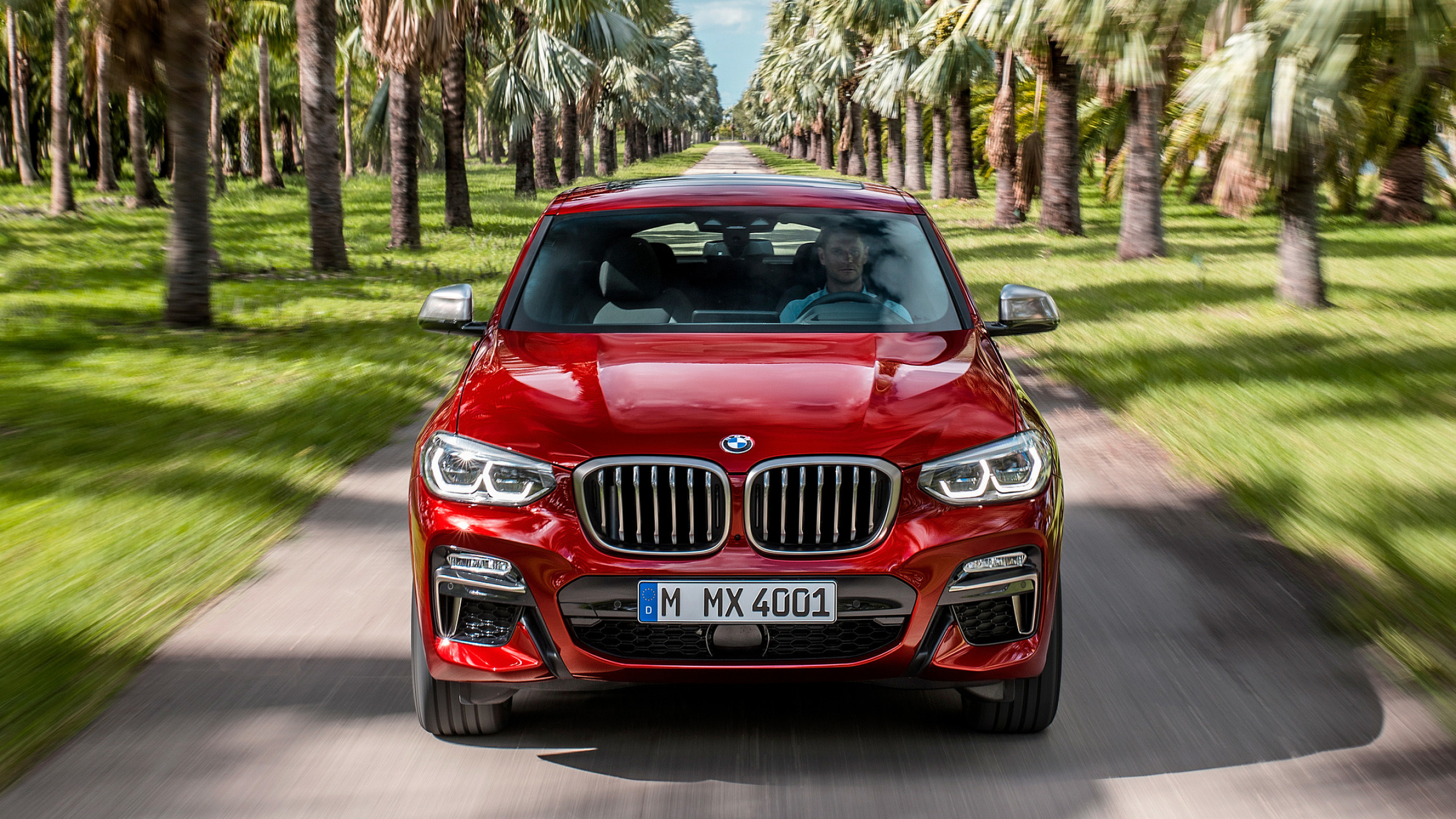 BMW X4, M series, Dynamic performance, Aggressive styling, 2560x1440 HD Desktop