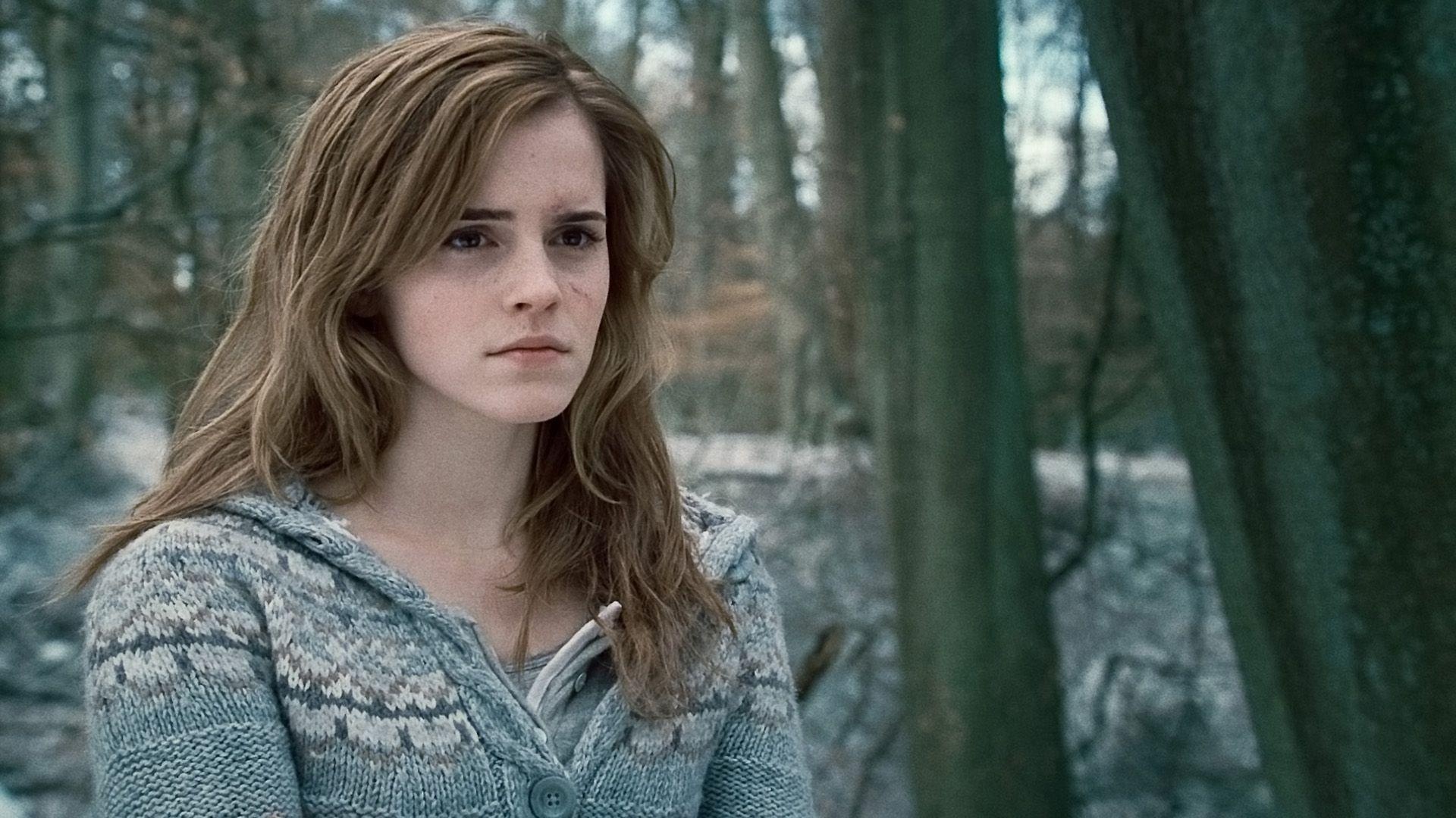 Hermione: Harry's academically gifted and fiery best friend, Protagonist. 1920x1080 Full HD Wallpaper.