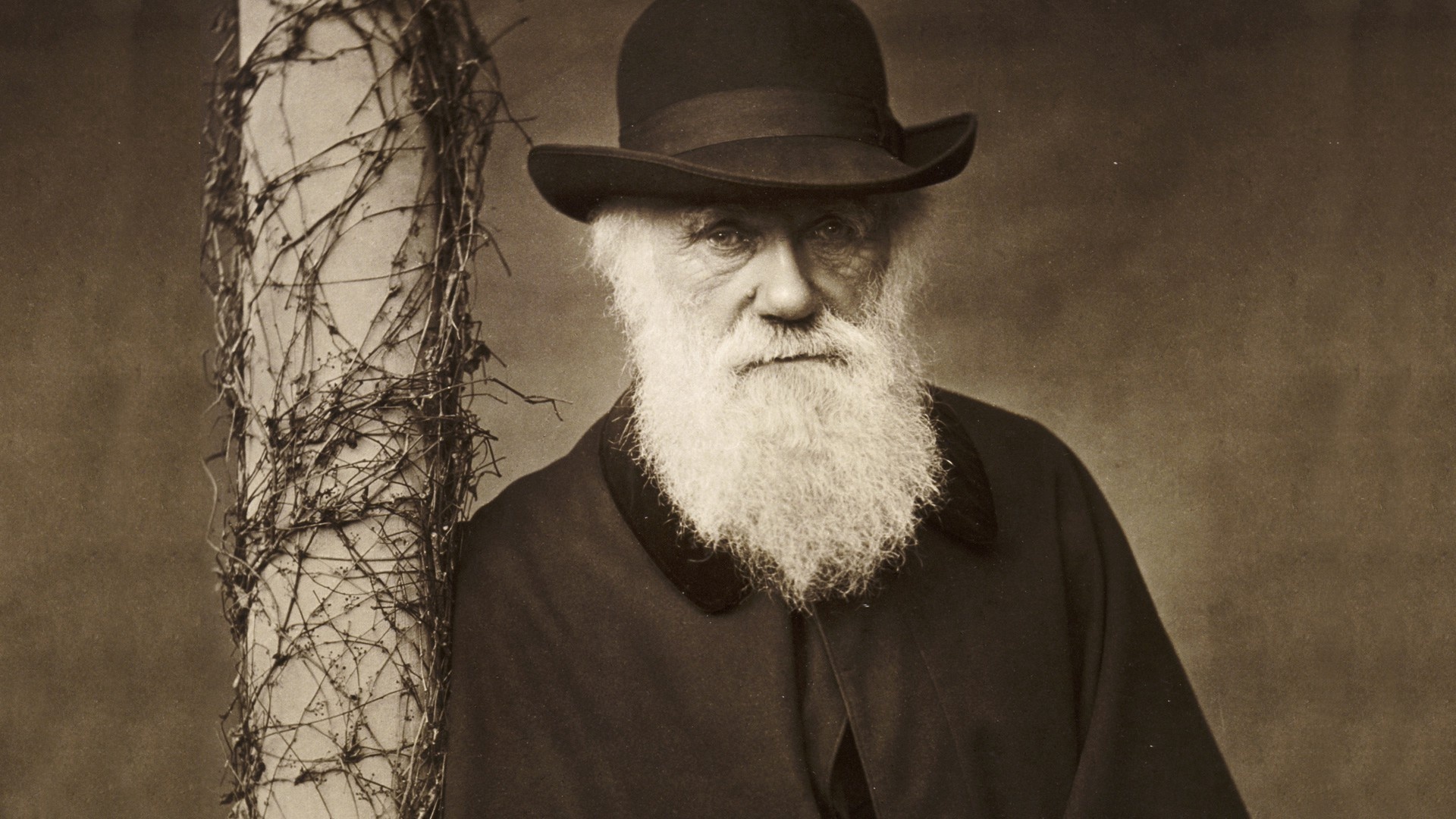 Charles Darwin: The author of the book The Formation of Vegetable Mould, through the Actions of Worms (1881). 1920x1080 Full HD Wallpaper.