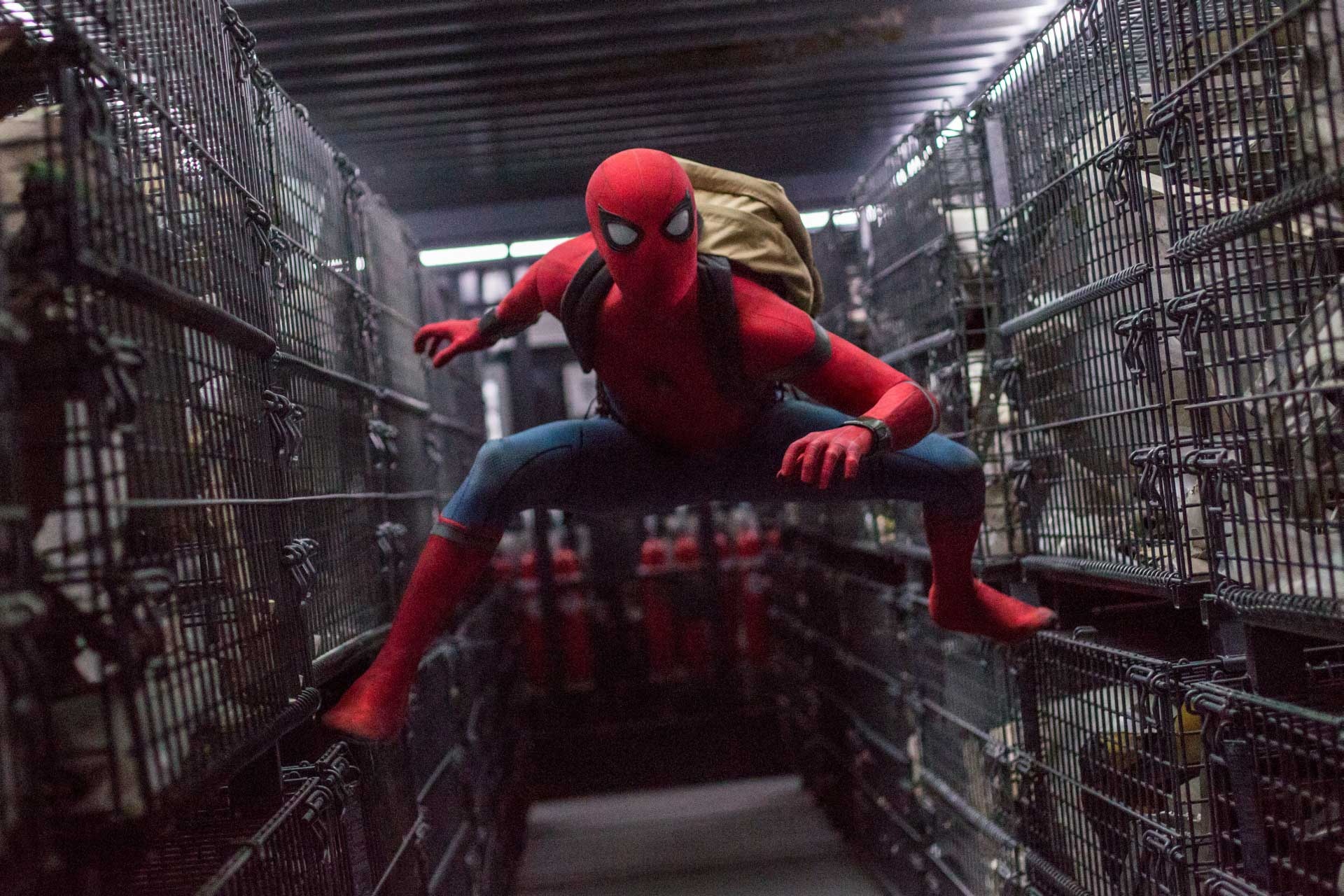 Spider-Man: Homecoming, Online streaming, Marvel's web-slinger, High school hero, 1920x1280 HD Desktop