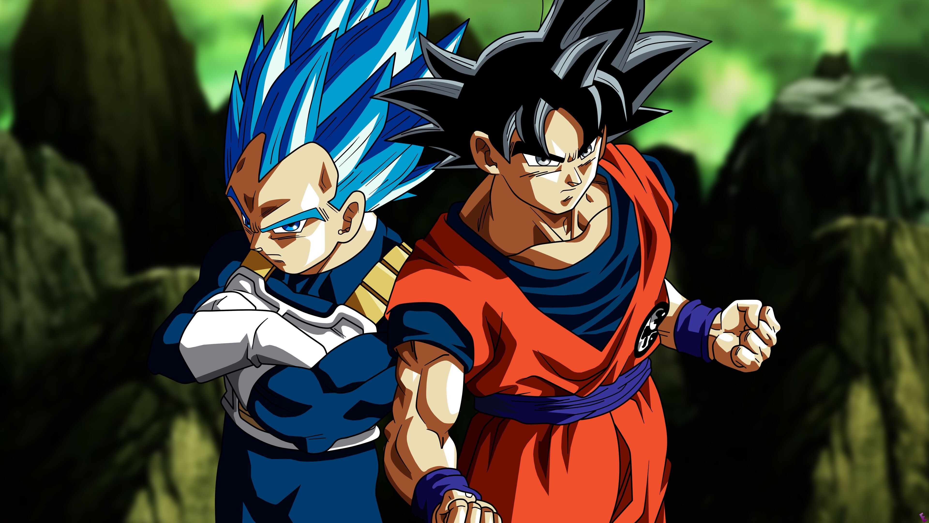 Goku: Vegeta, The prince of the fallen Saiyan race, Anime characters, Dragon Ball. 3840x2160 4K Background.