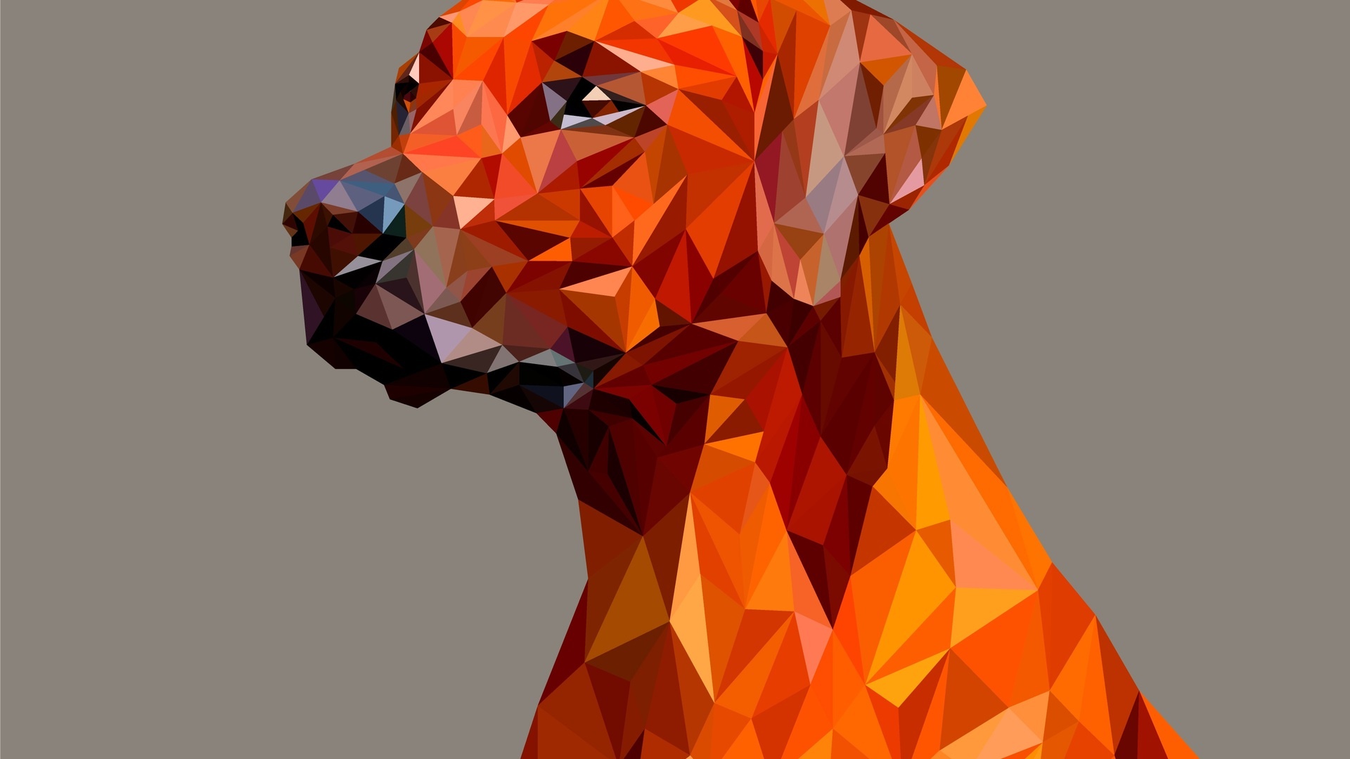 Dog polygon facets, Full HD 1080p wallpapers, HD images, Photos and pictures, 1920x1080 Full HD Desktop