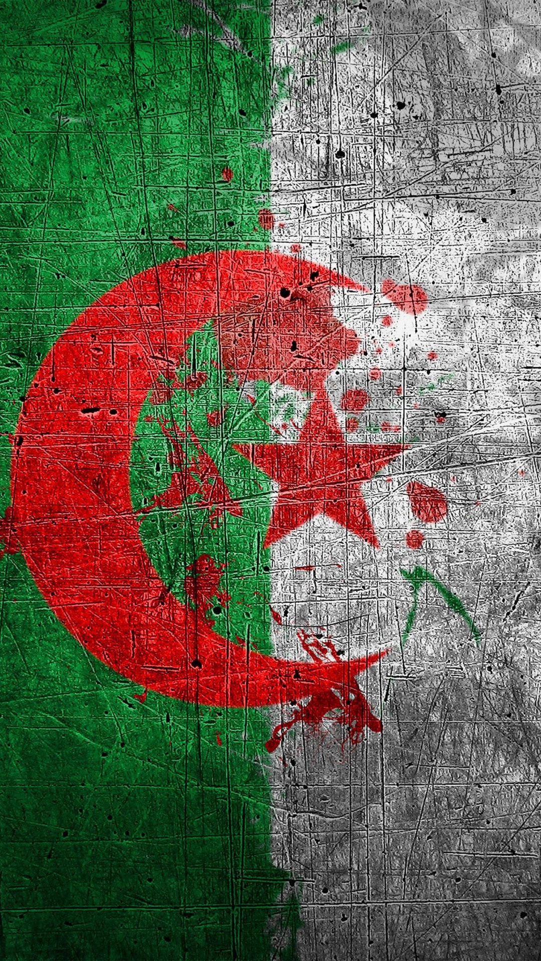 Flag of Algeria background, HD wallpapers, 1080x1920 Full HD Phone