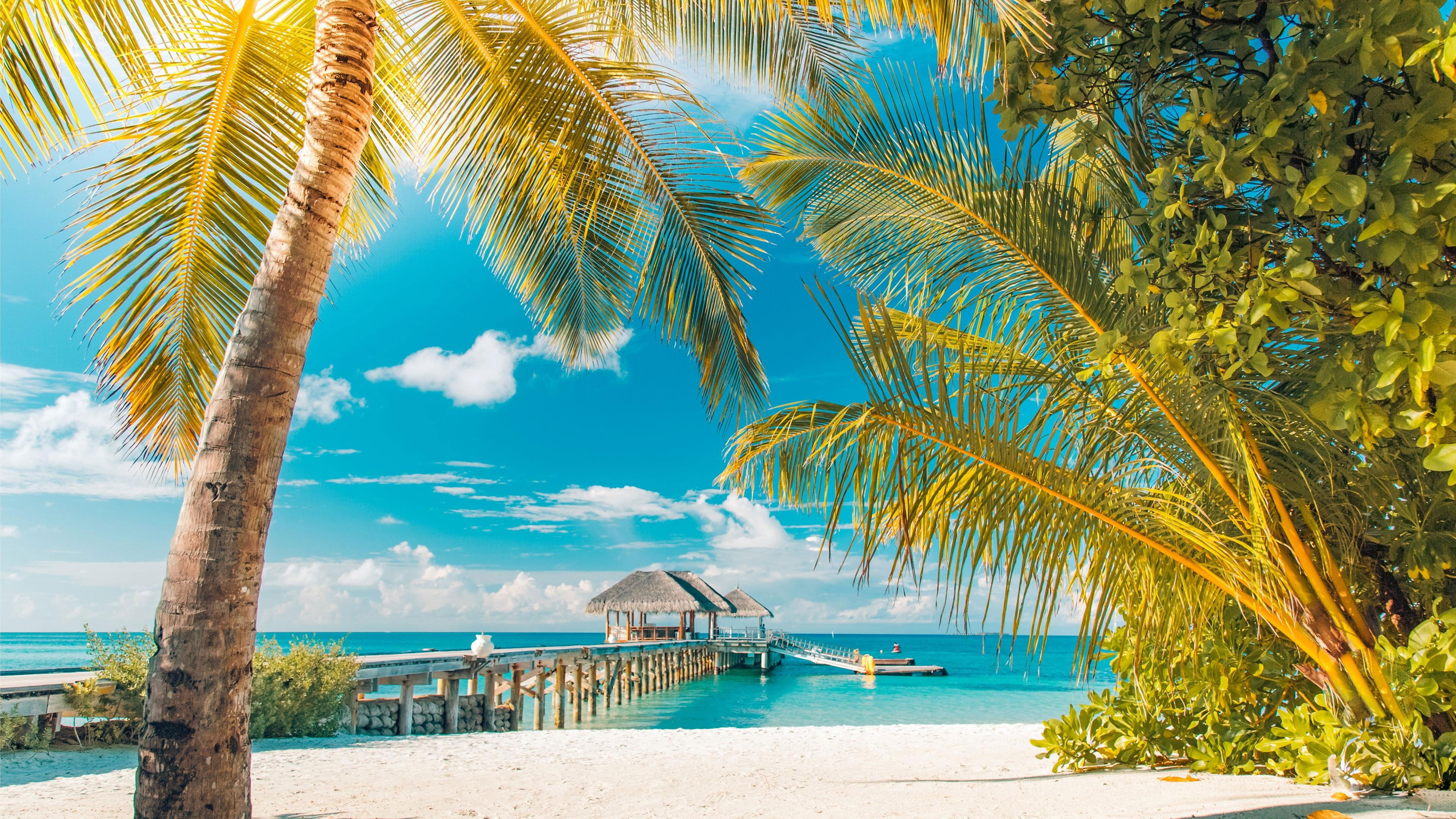 Aruba Island, Island adventures, Unforgettable experiences, Memorable journeys, 3840x2160 4K Desktop