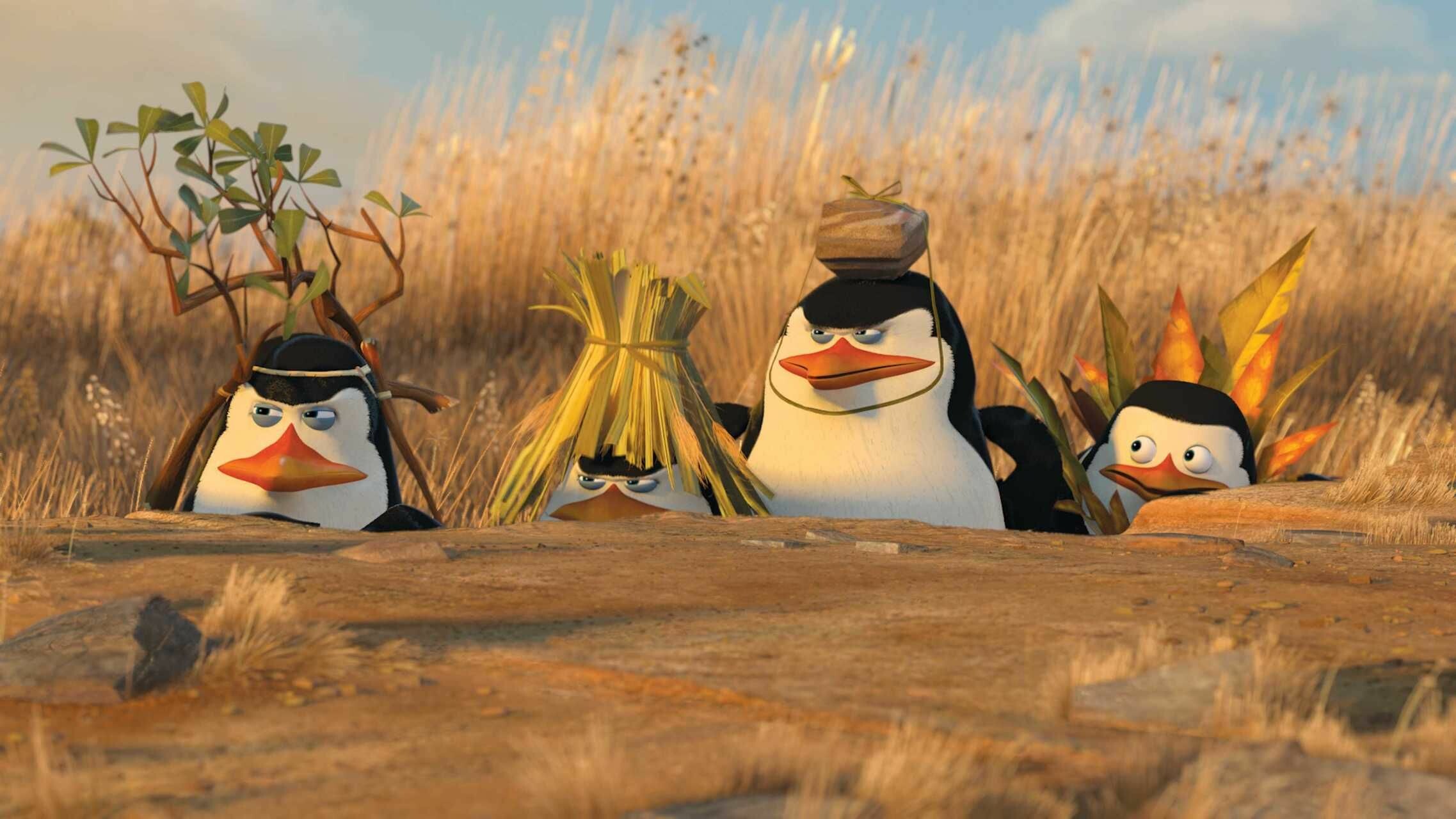Madagascar (Movie): Skipper, Kowalski, Rico, and Private joining forces with the North Wind intelligence agency to stop the octopus Dave. 2280x1280 HD Wallpaper.