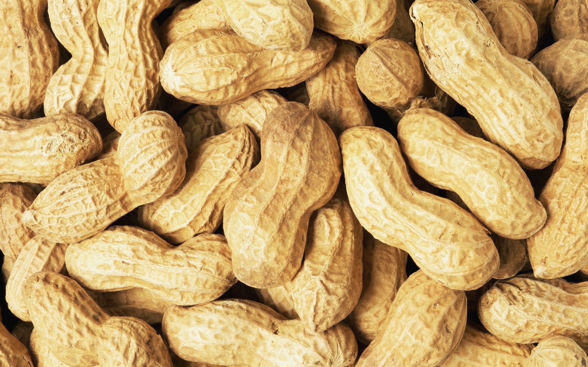 Peanuts (Food), Nutritional powerhouse, Allergic reactions, Dark chocolate pairing, 1920x1200 HD Desktop